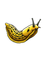 Sticker (Realistic Banana Slug)