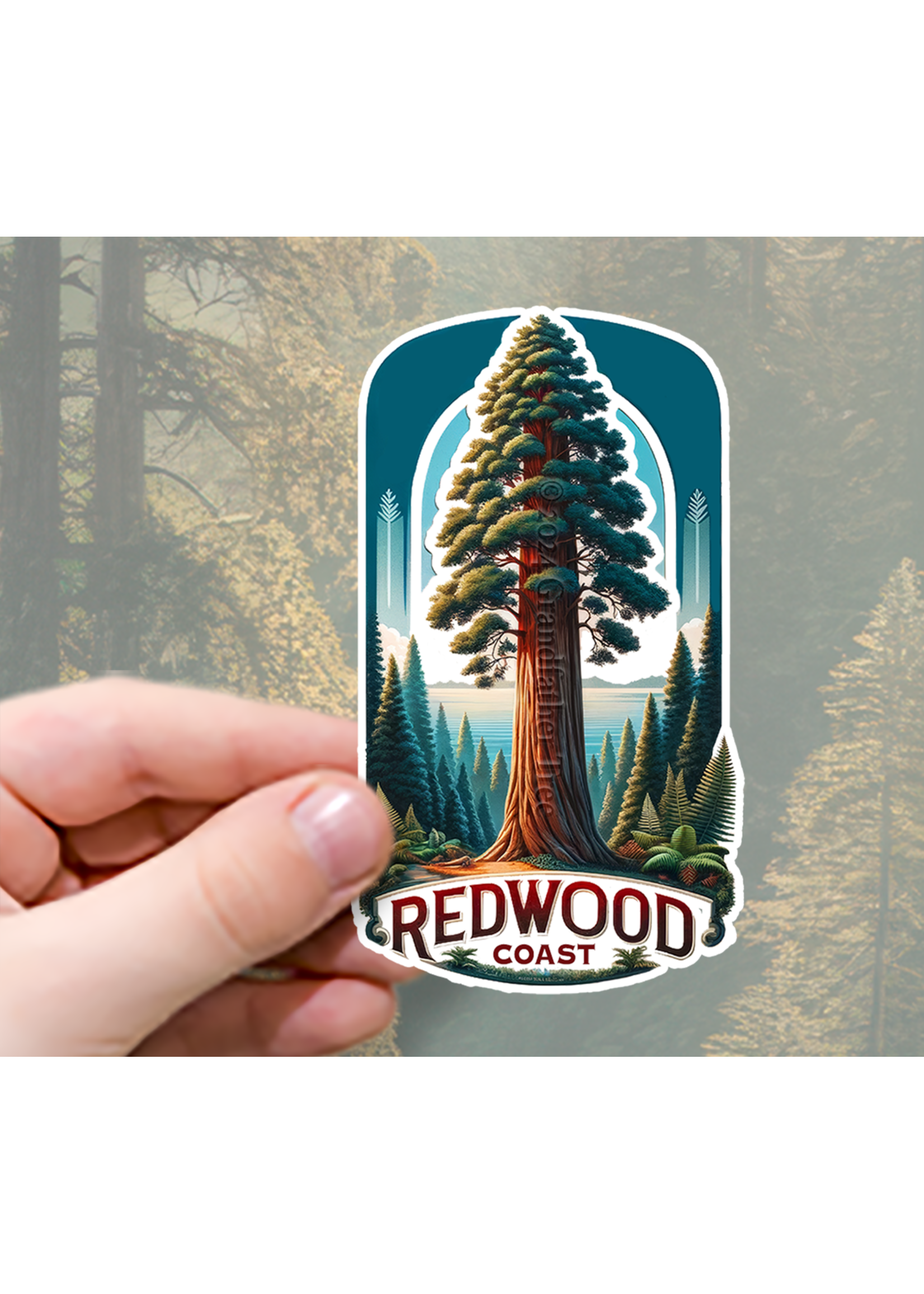Sticker (Redwood Coastal Giant) 2"