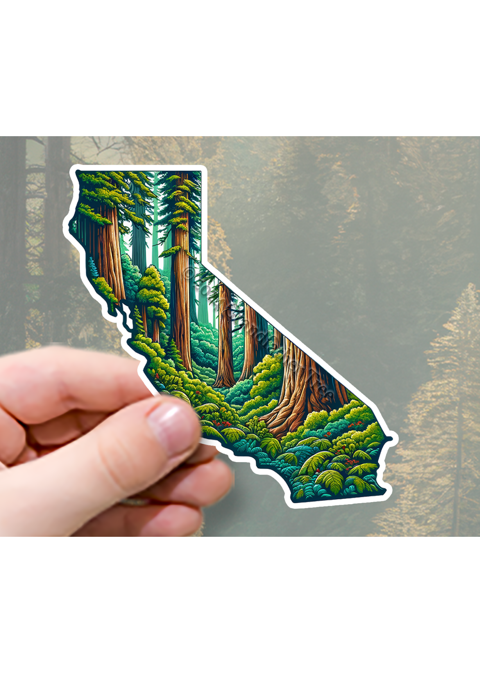 Sticker (Redwood State)