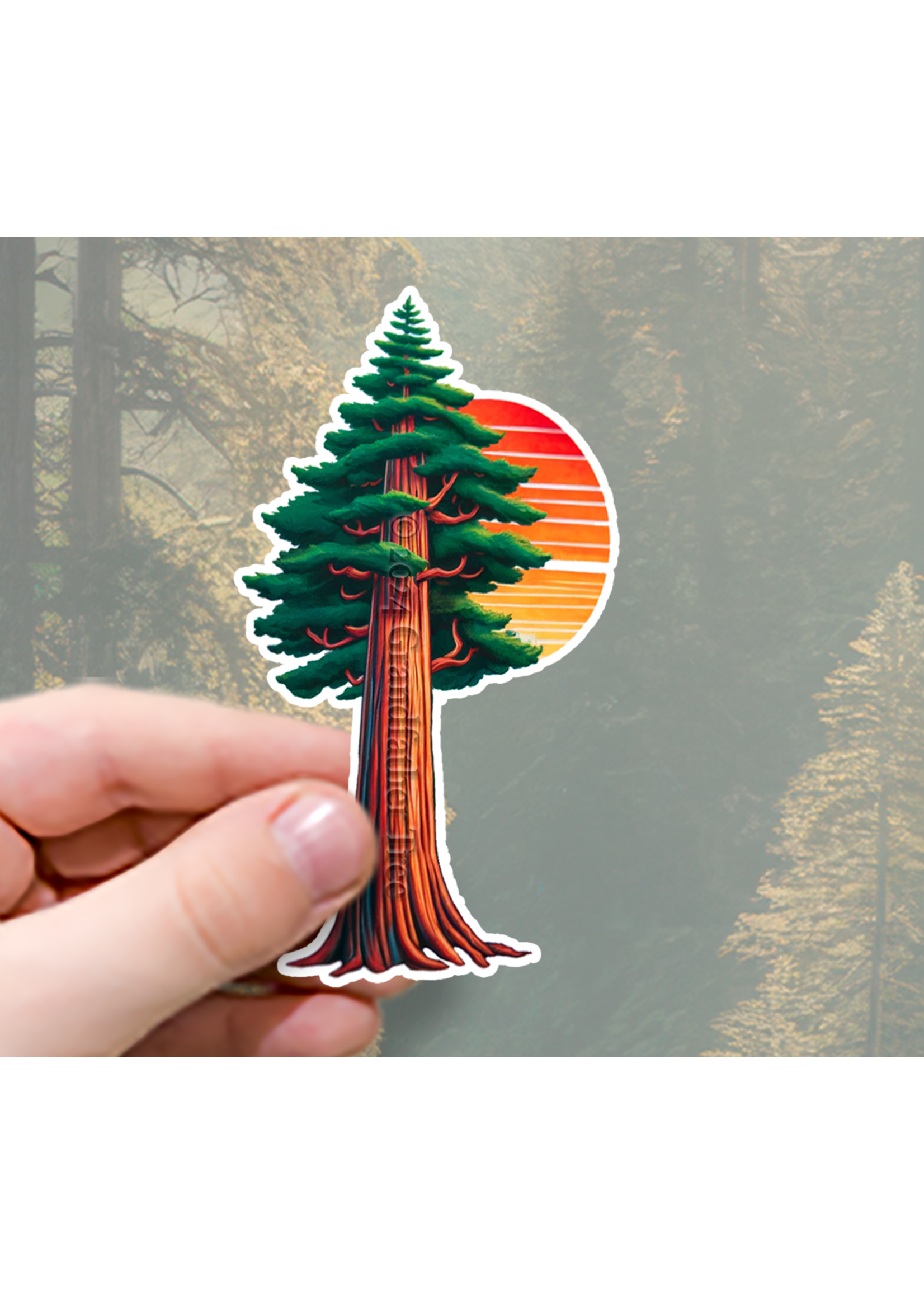 Sticker (Redwood Sun)