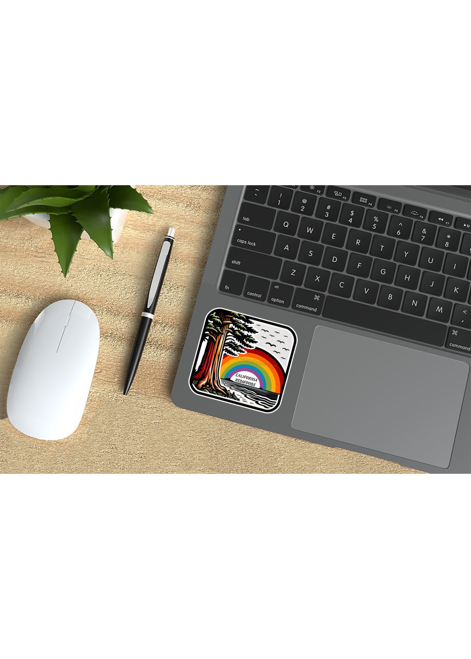 Sticker (Redwood Rainbow) 2"