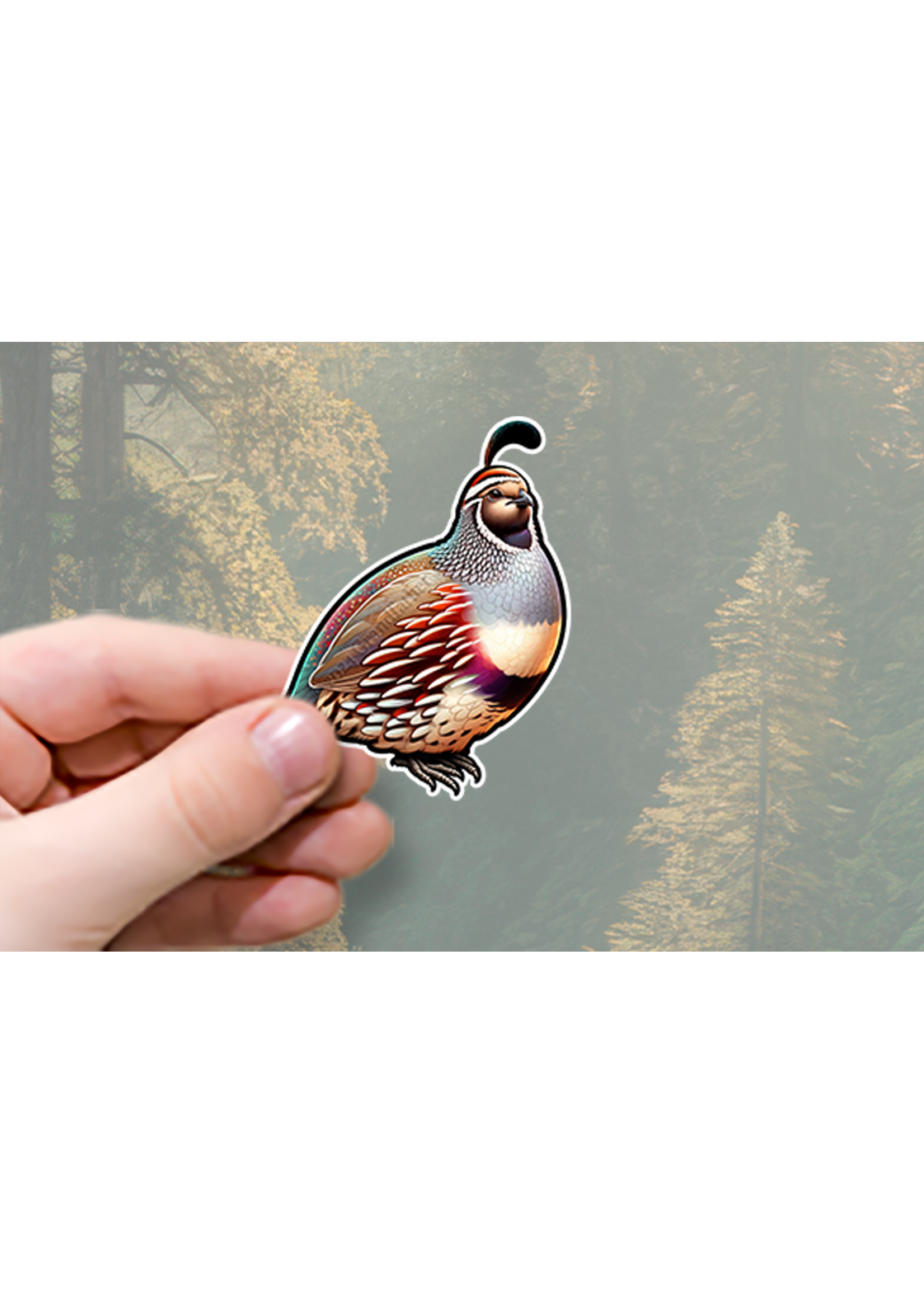 Sticker (Quail) 2"