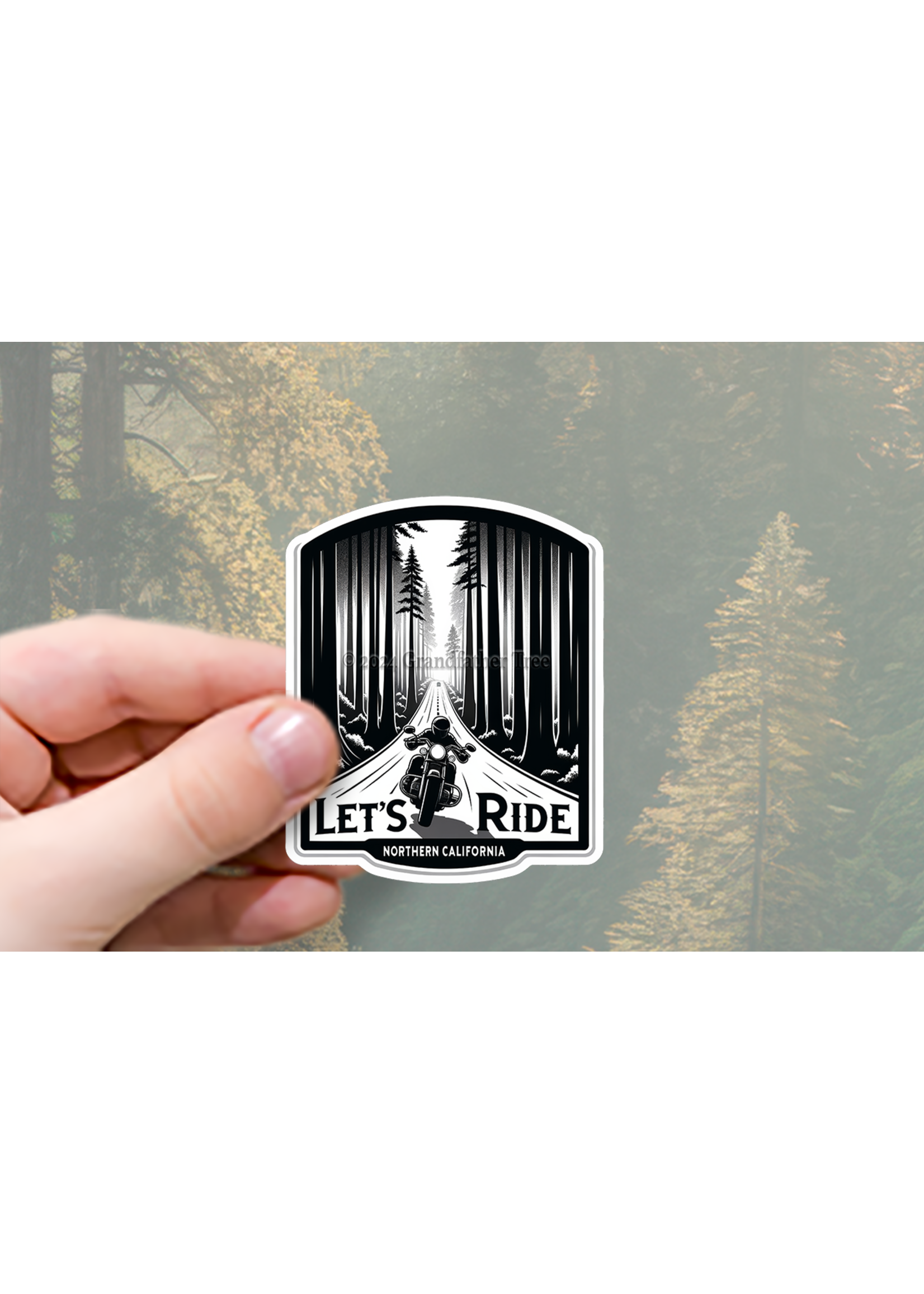 Sticker (Let's Ride) 3"