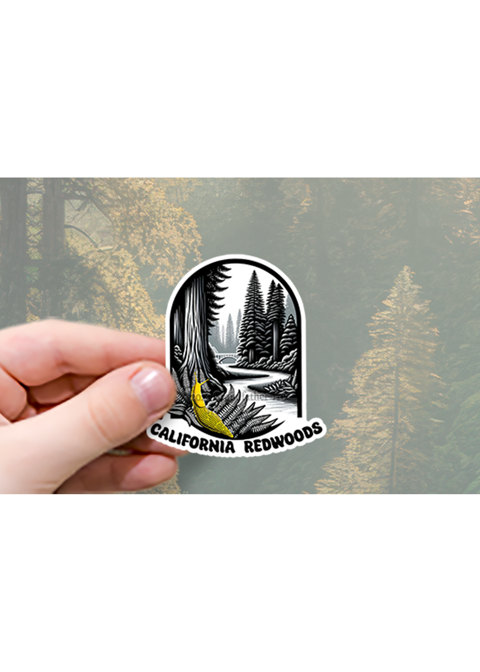 Sticker (Redwood Scene - Slug)