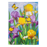 IRISES IN SPRING