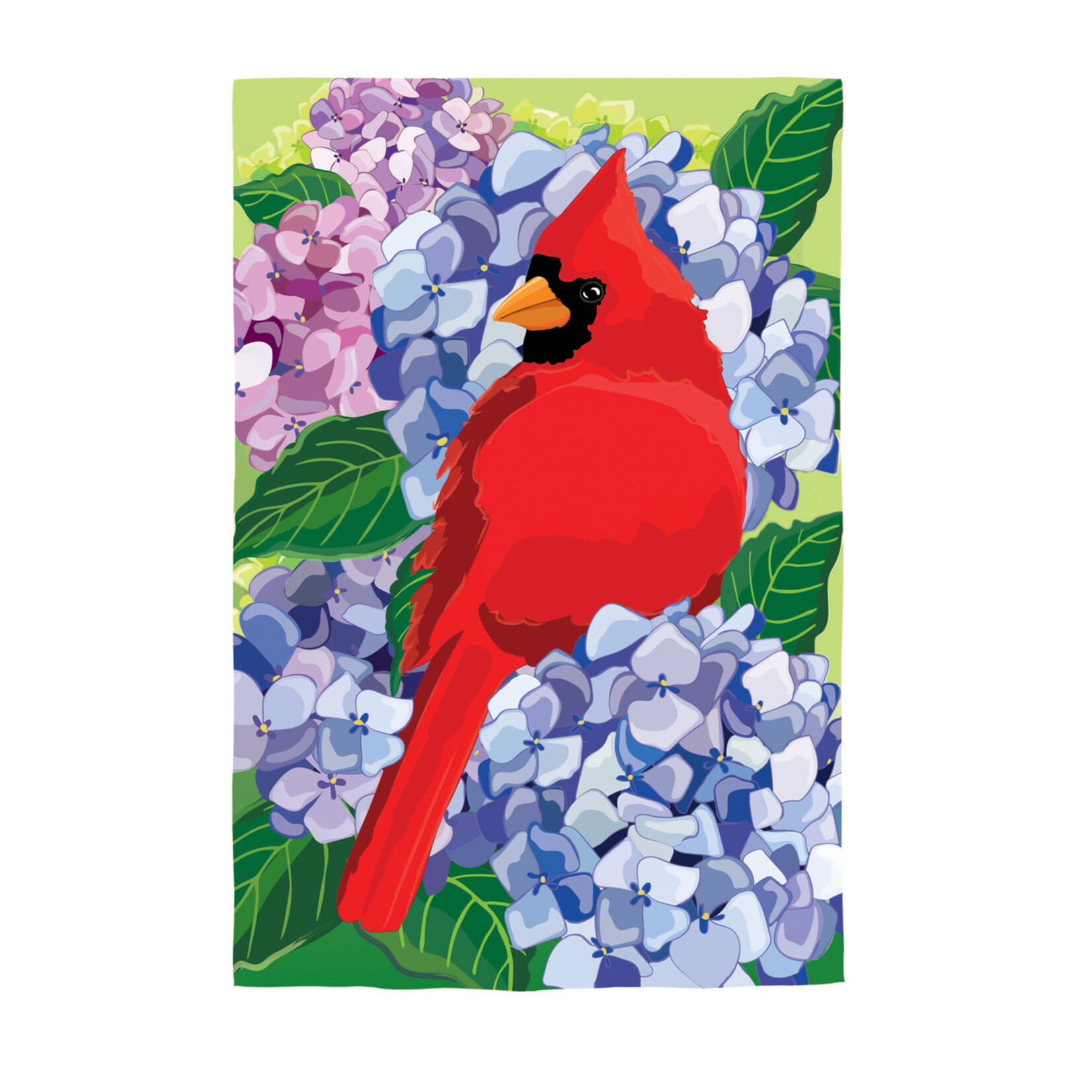 CARDINAL IN HYDRANGEAS