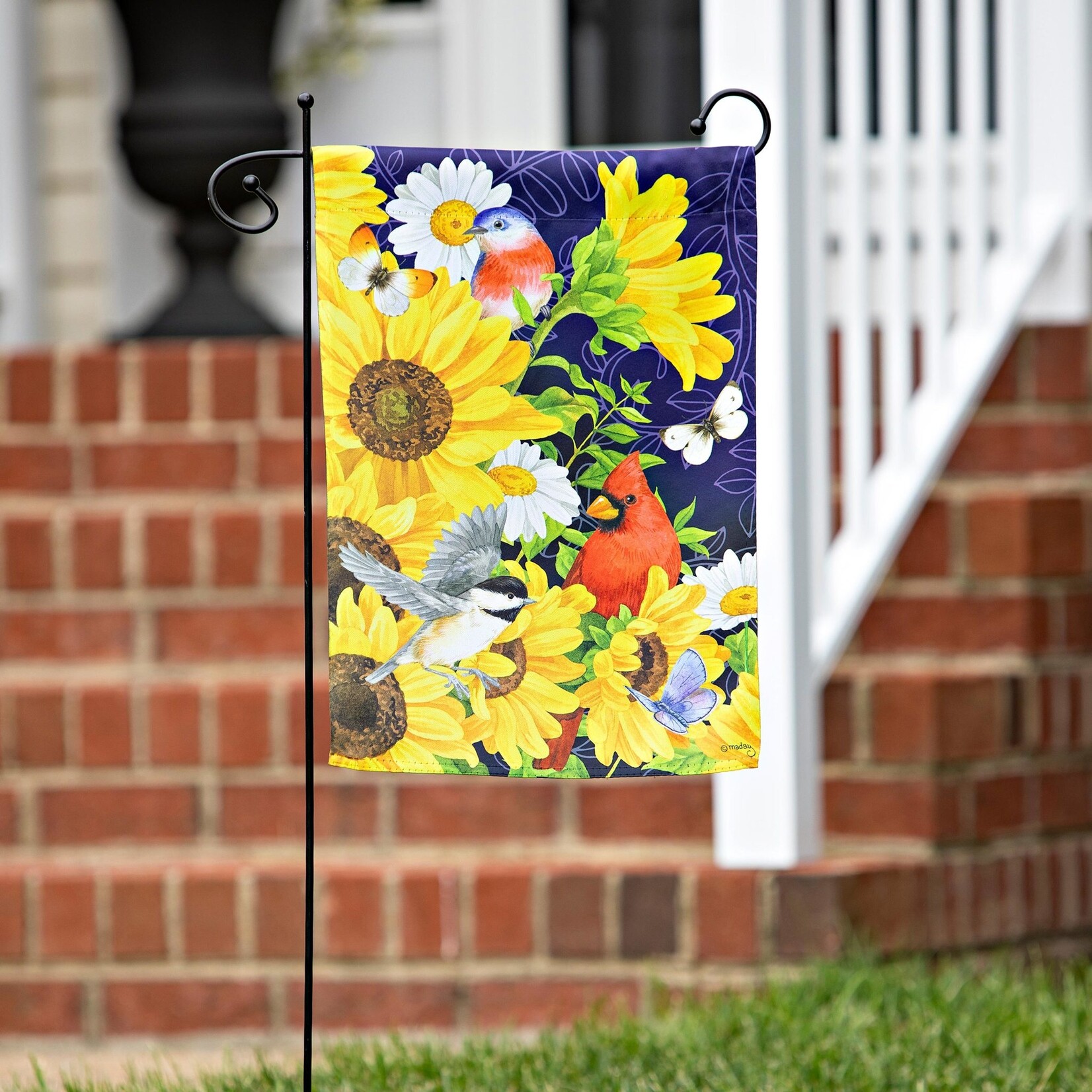 SUNFLOWER GLORY