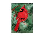 CARDINAL IN PINES