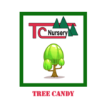 Tc's Tree Candy