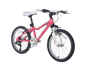 2021 Legacy Junior 20 DLX - The Bike Zone