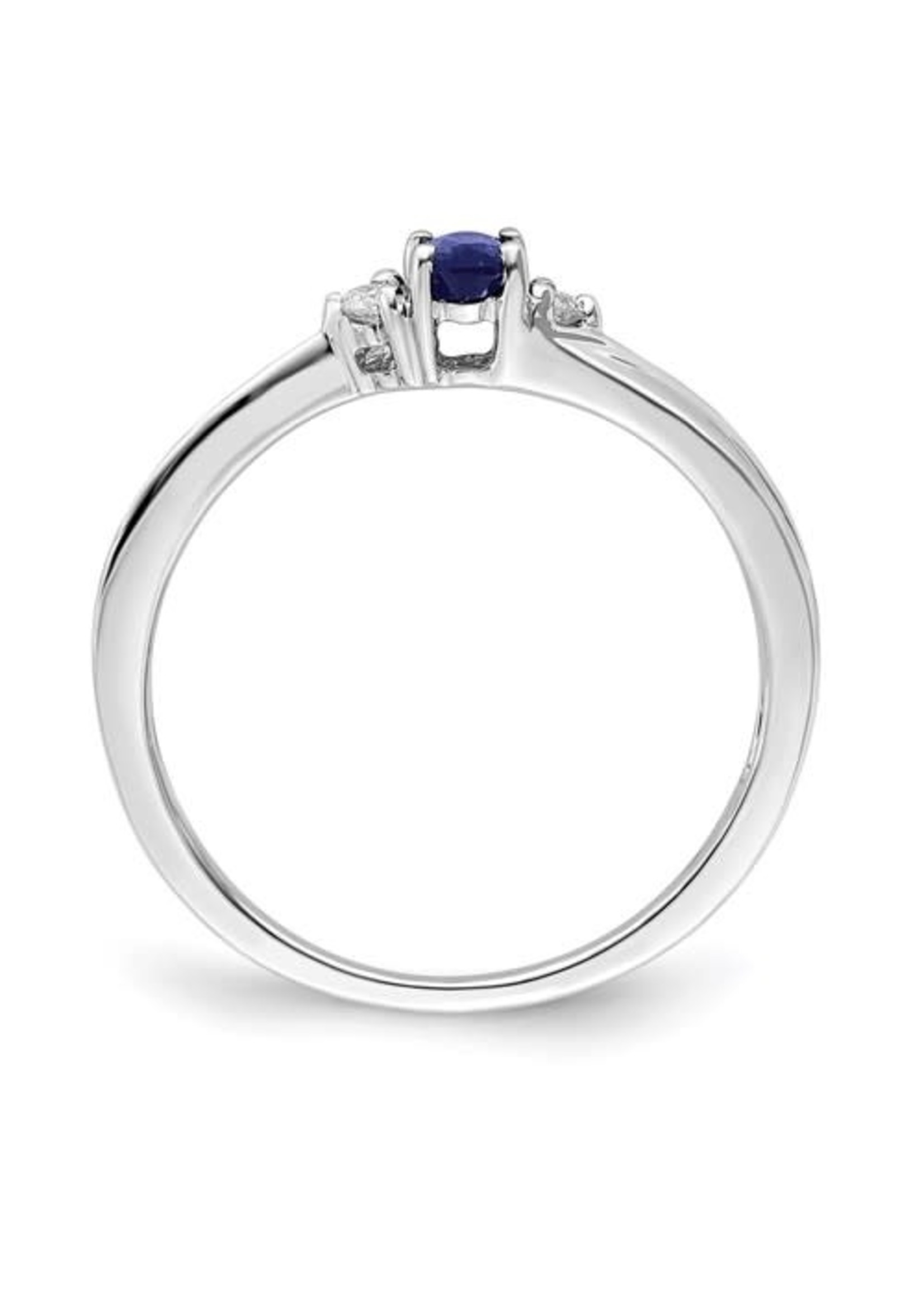 Sterling Silver Rhodium-plated Created Blue Sapphire Birthstone Ring