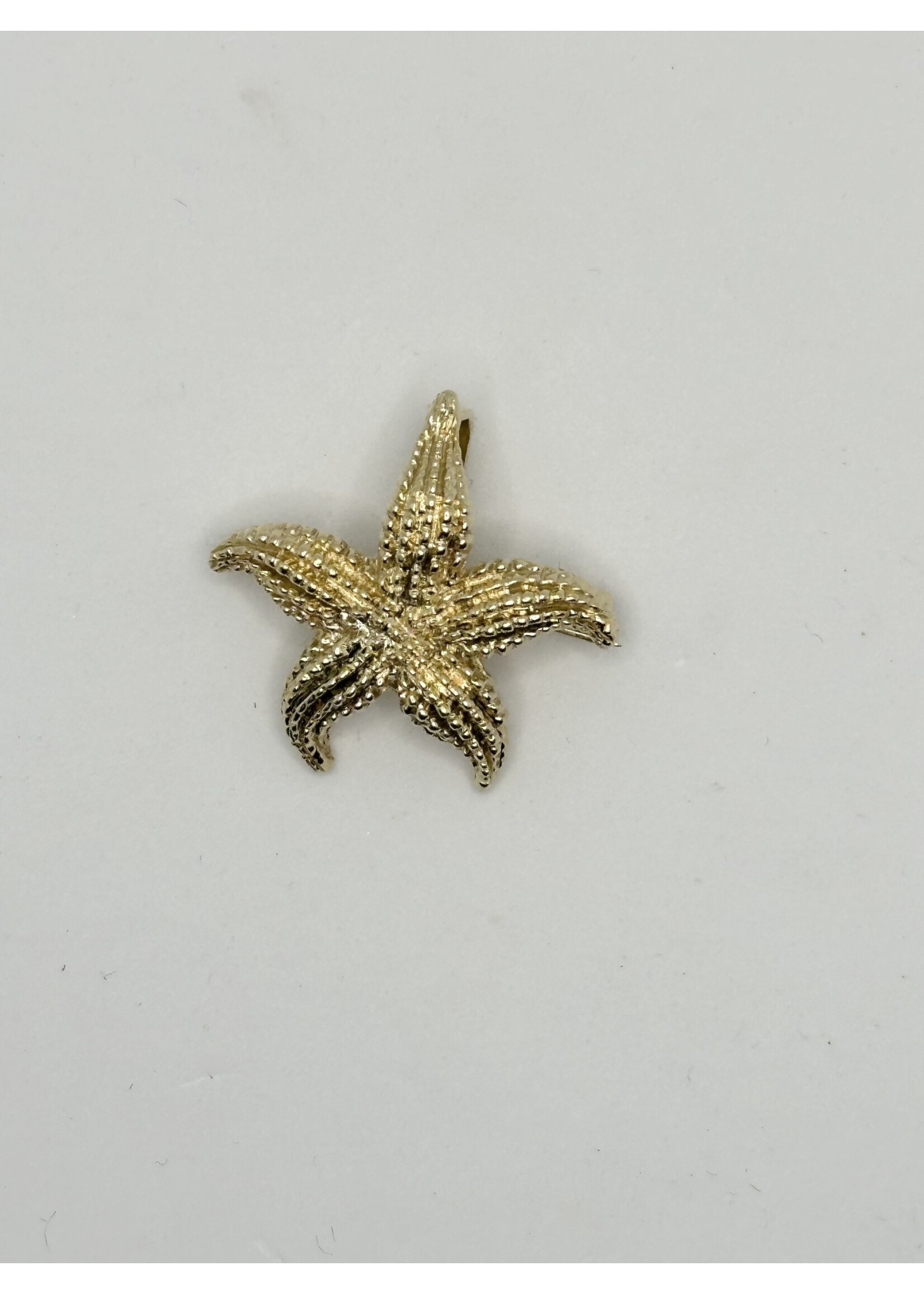 Starfish Pendant/Brooch
