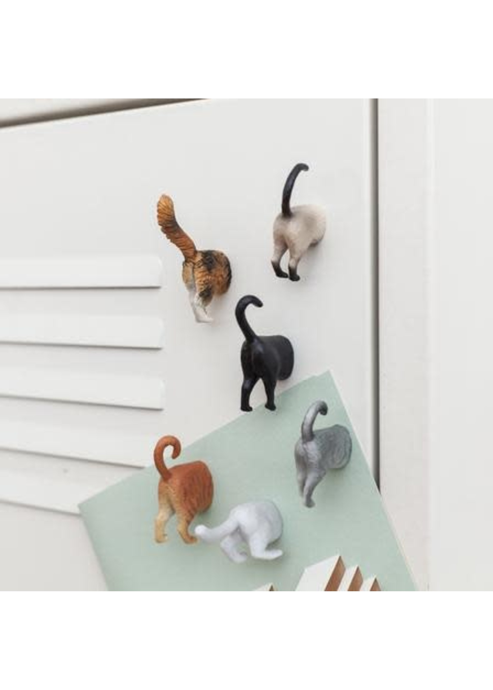Kikkerland Cat Butt Magnets (Set of 6)