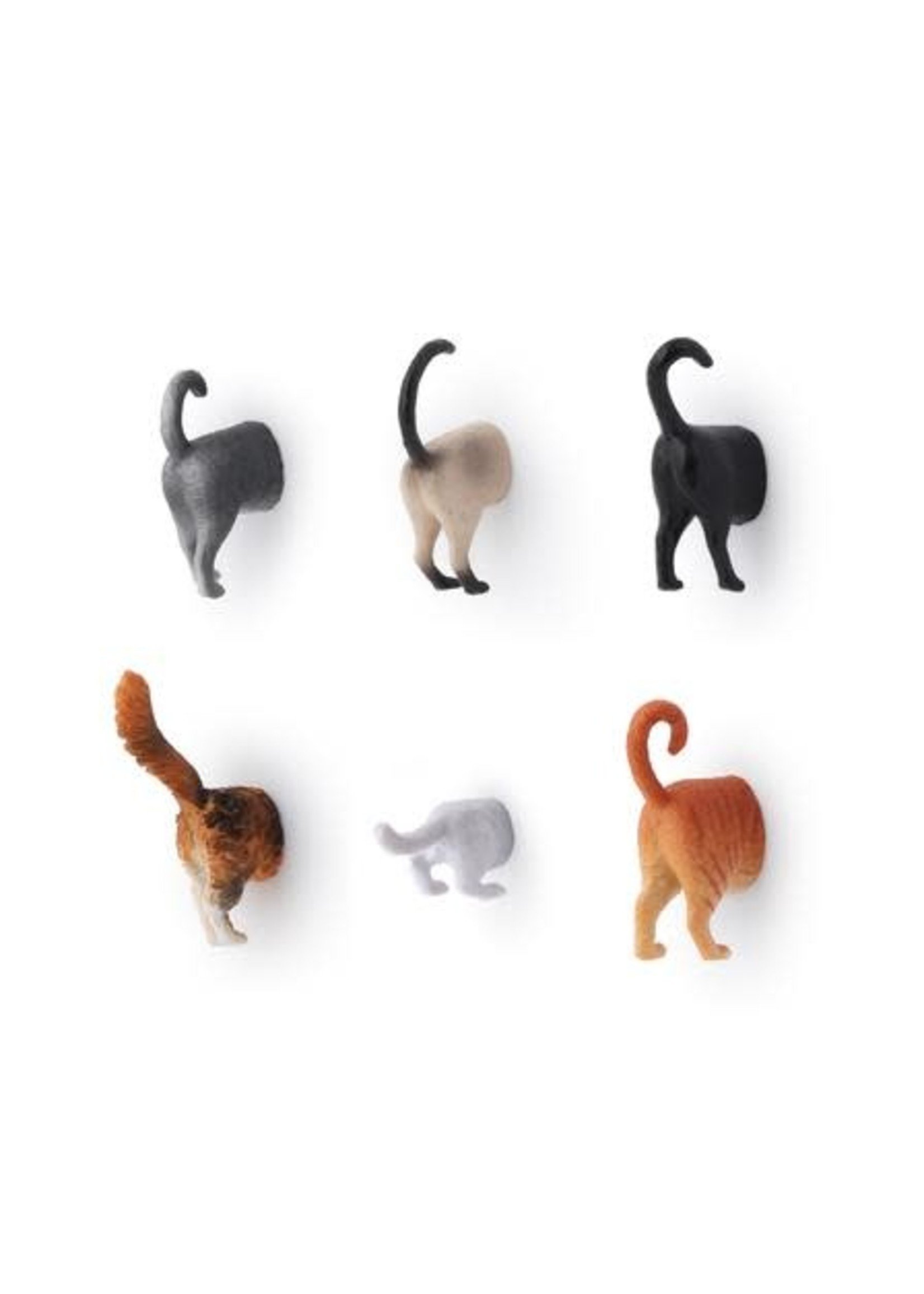 Kikkerland Cat Butt Magnets (Set of 6)