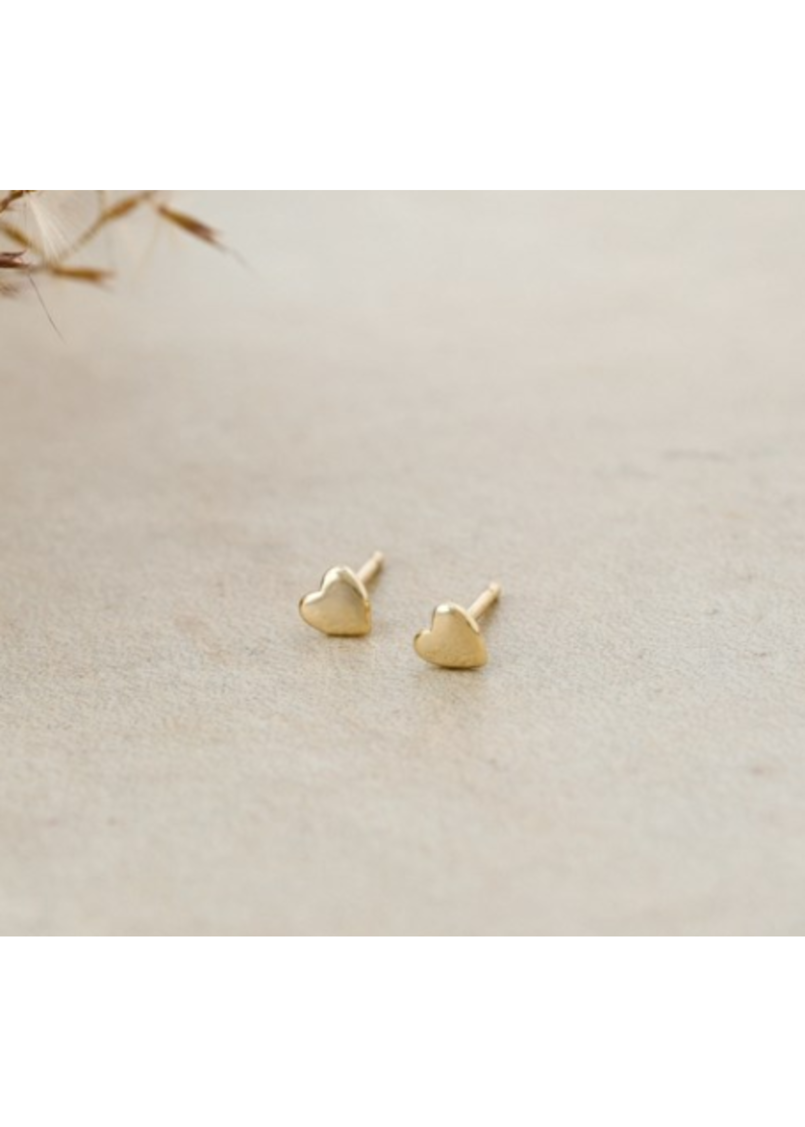 Glee CUTIE STUDS - GOLD PLATED