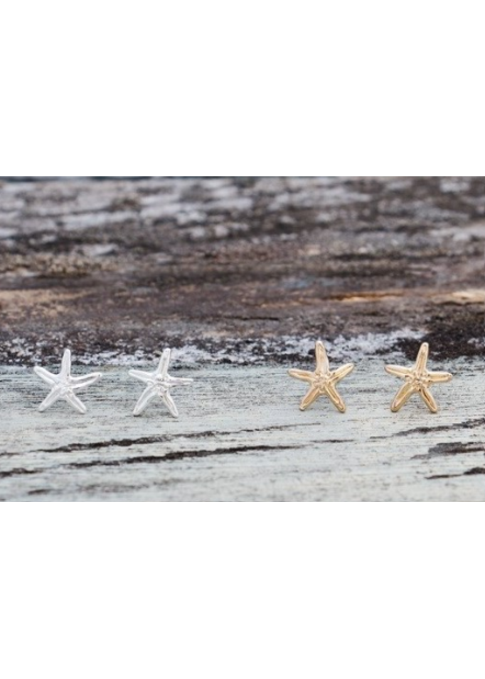 Glee WHIMSICAL SEASTAR STUD EARRING-SILVER PLATED