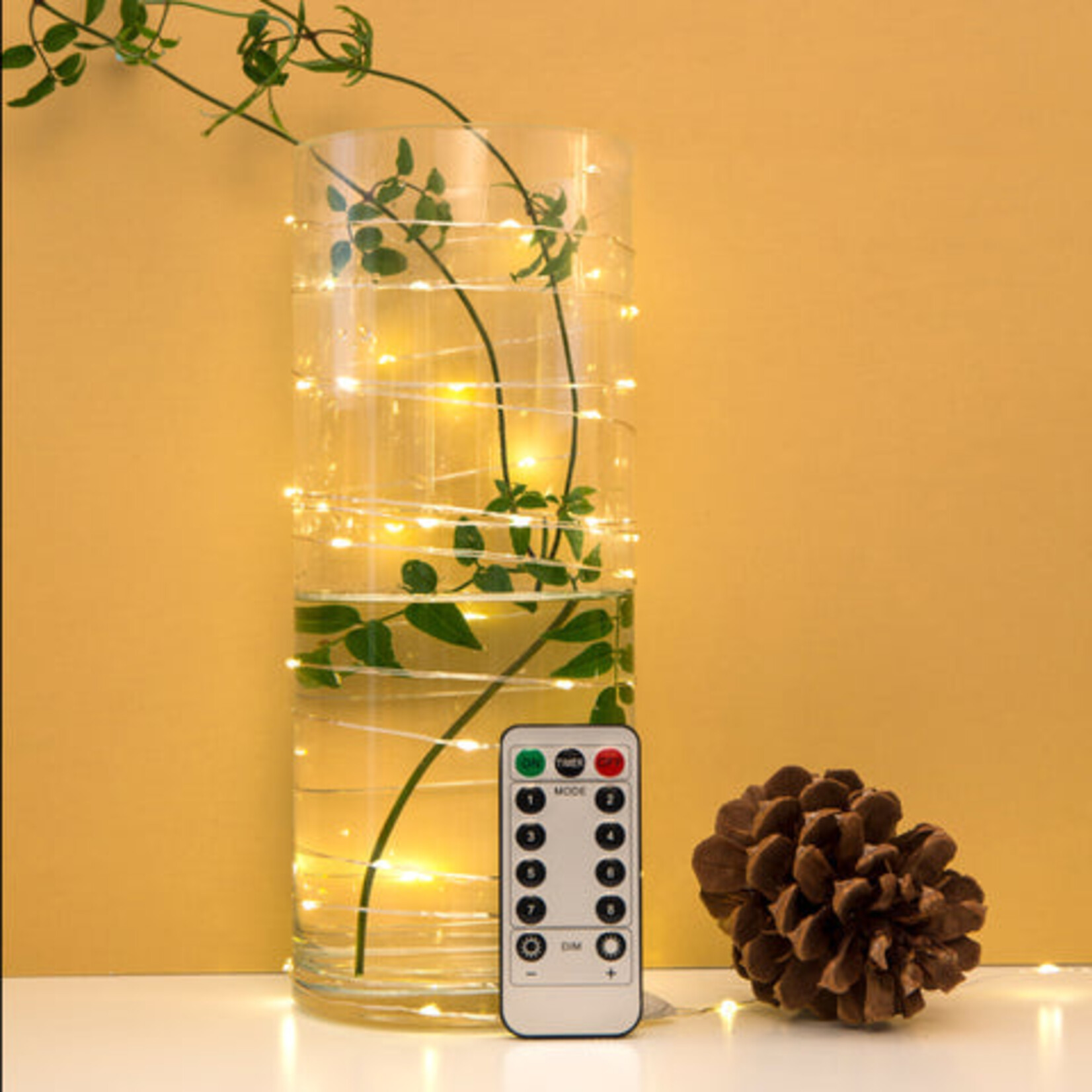 Kikkerland Extra-Long Silver String Light with Remote Control