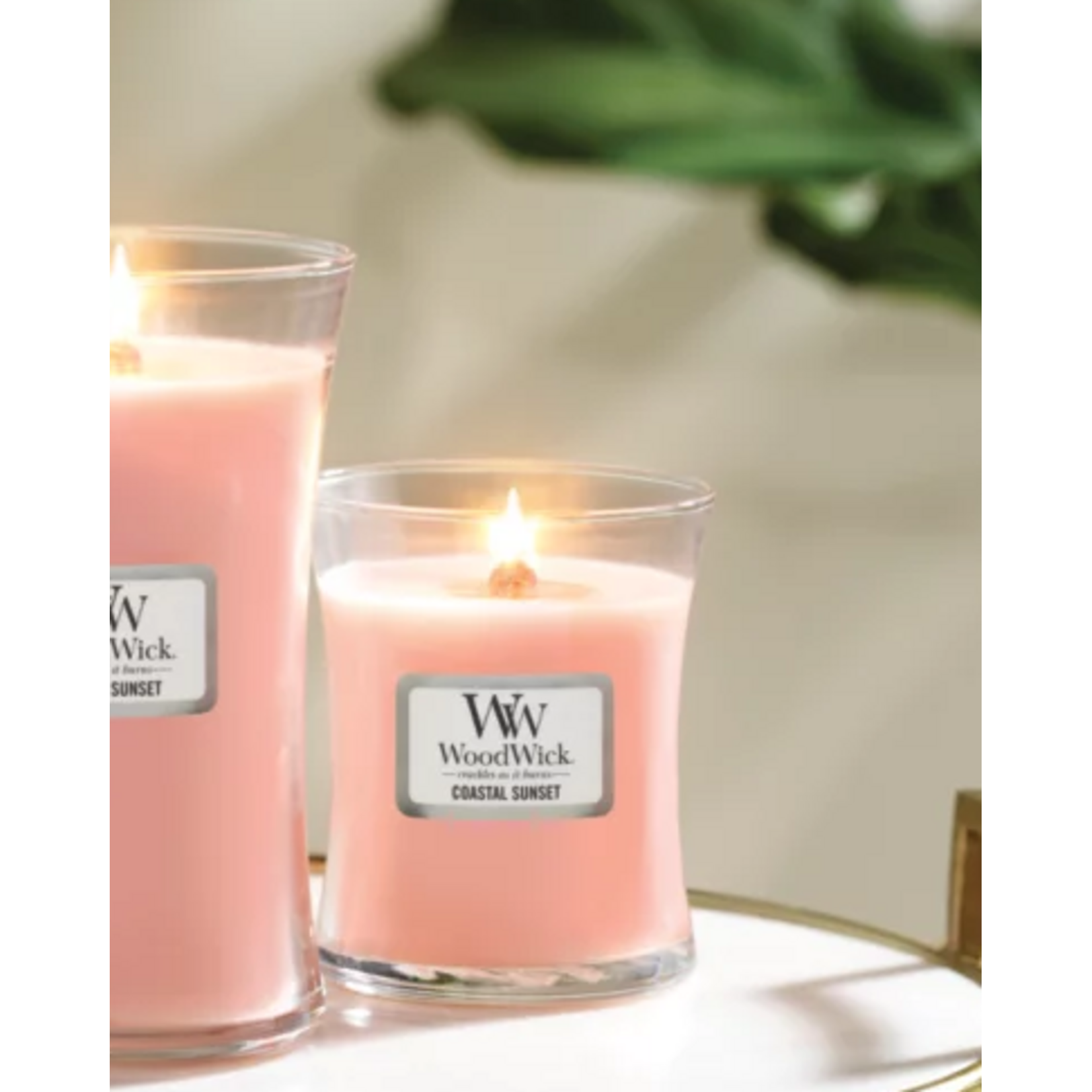 Woodwick WOOD WICK MEDIUM CANDLE