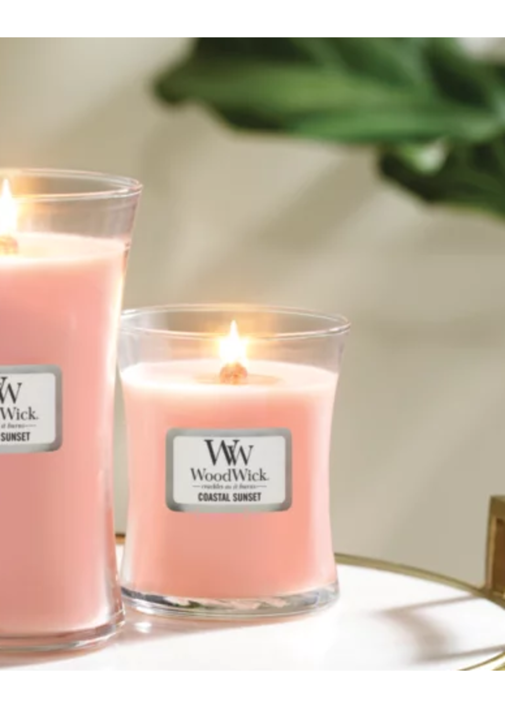 Woodwick WOOD WICK MEDIUM CANDLE