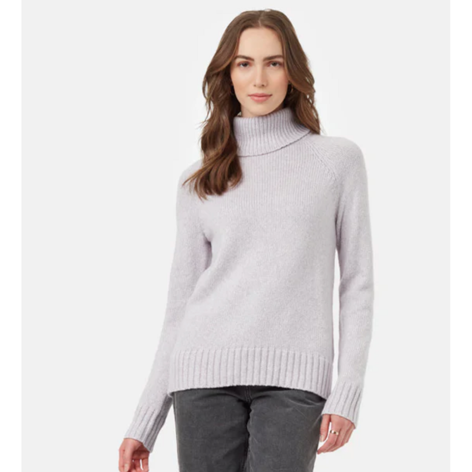 Tentree Highline Wool/Cotton Turtleneck  Sweater