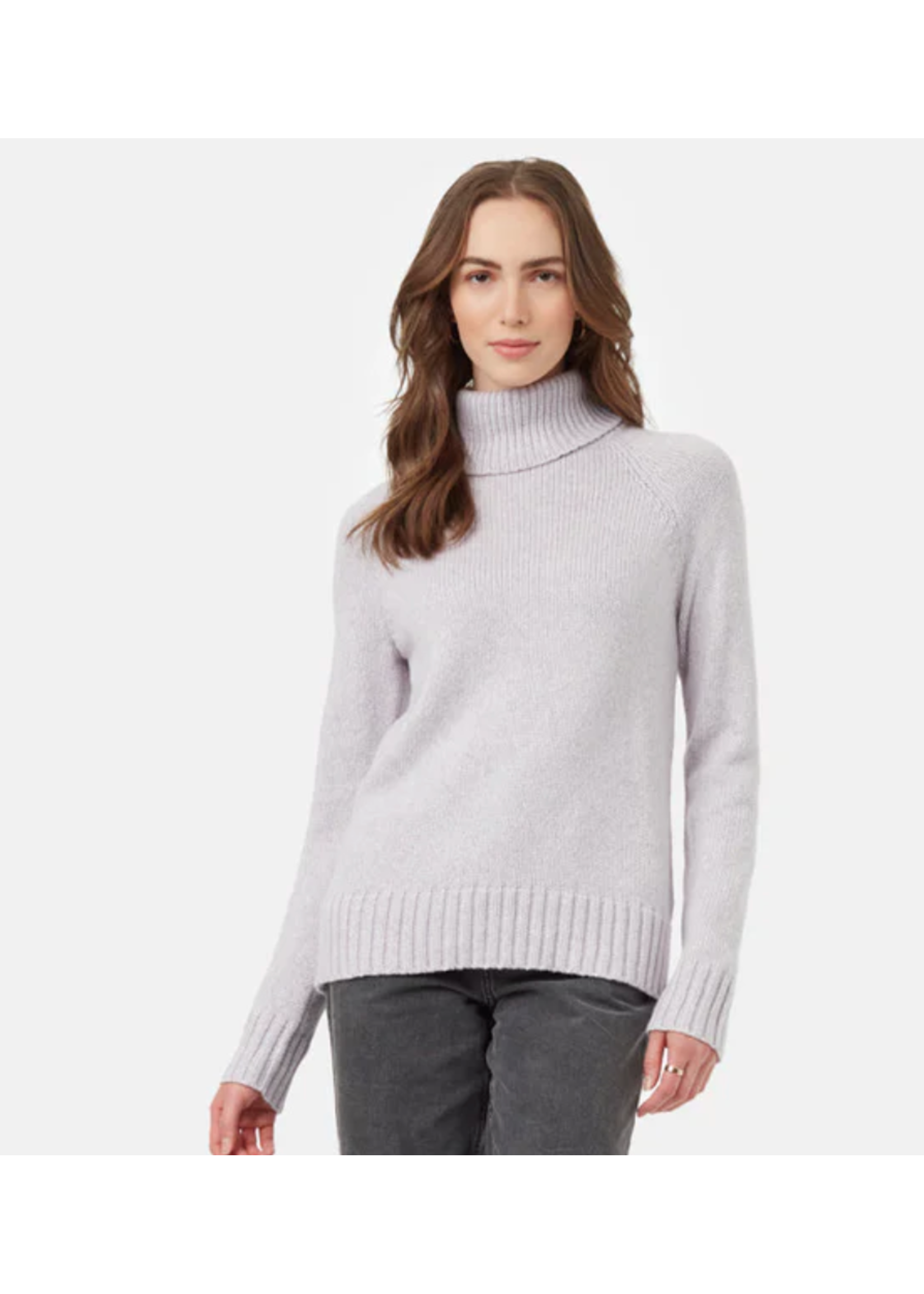 Tentree Highline Wool/Cotton Turtleneck  Sweater