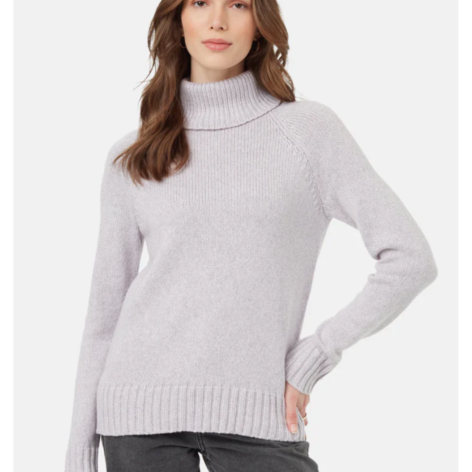 Tentree Highline Wool/Cotton Turtleneck  Sweater
