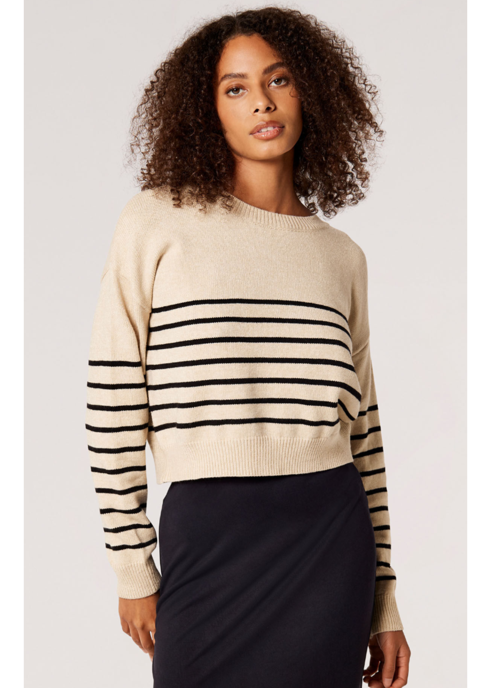 APRICOT COLLECTIONS STRIPE CROP NAUTICAL SWEATER