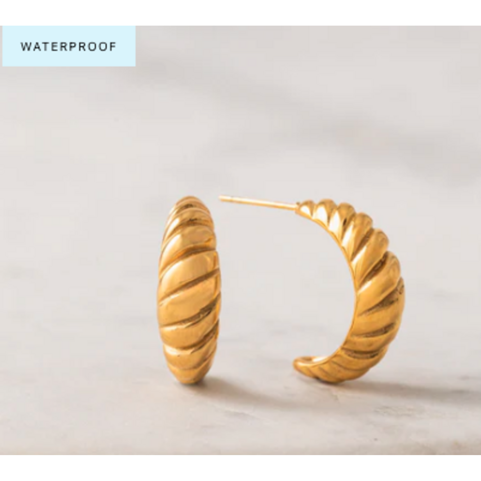 Lover's Tempo Paris Hoop Earrings 19mm Gold PVD Waterproof