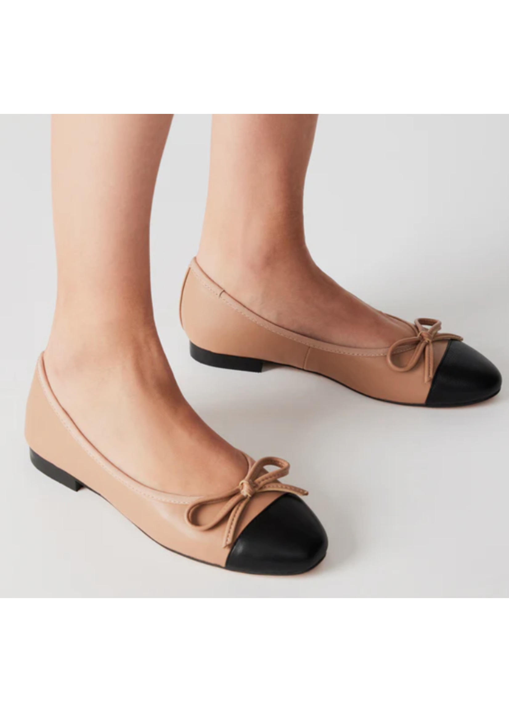 Steve Madden Ellison Two-Tone Flat