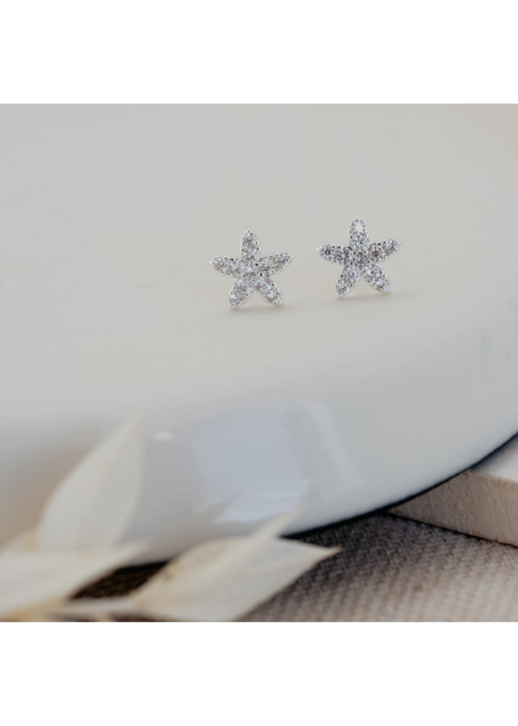 Glee Vibrant Starfish Stud Earrings Sterling Plated