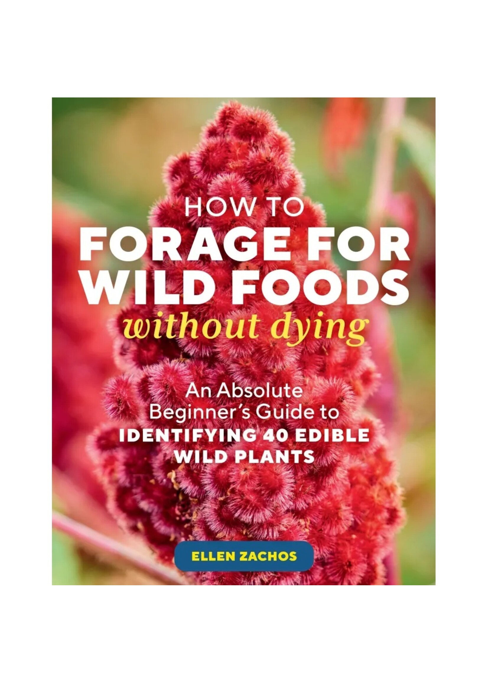 HOW TO FORAGE FOR WILD FOODS WITHOUT DYING - ELLEN ZACHOS