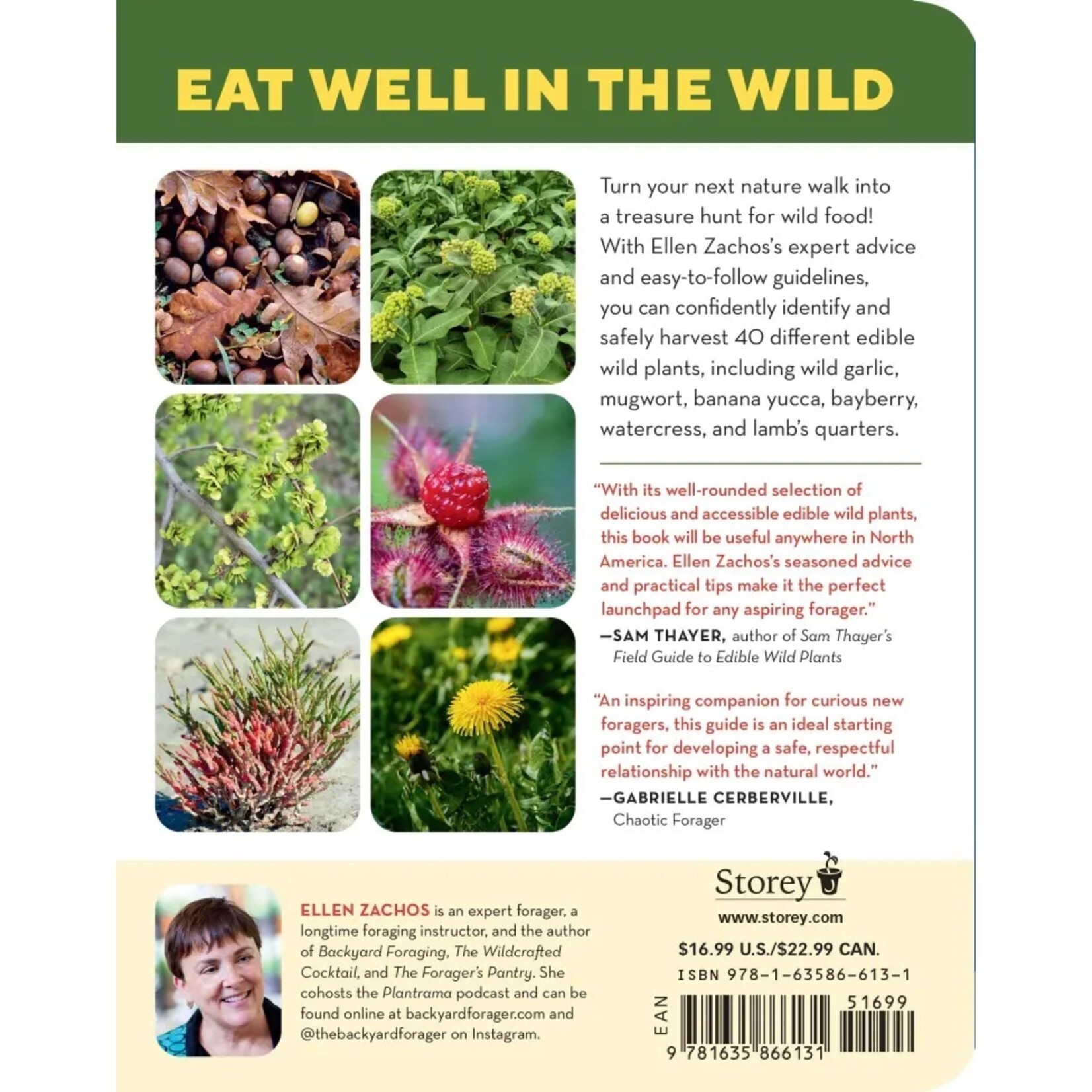 How to Forage for Wild Foods Without Dying