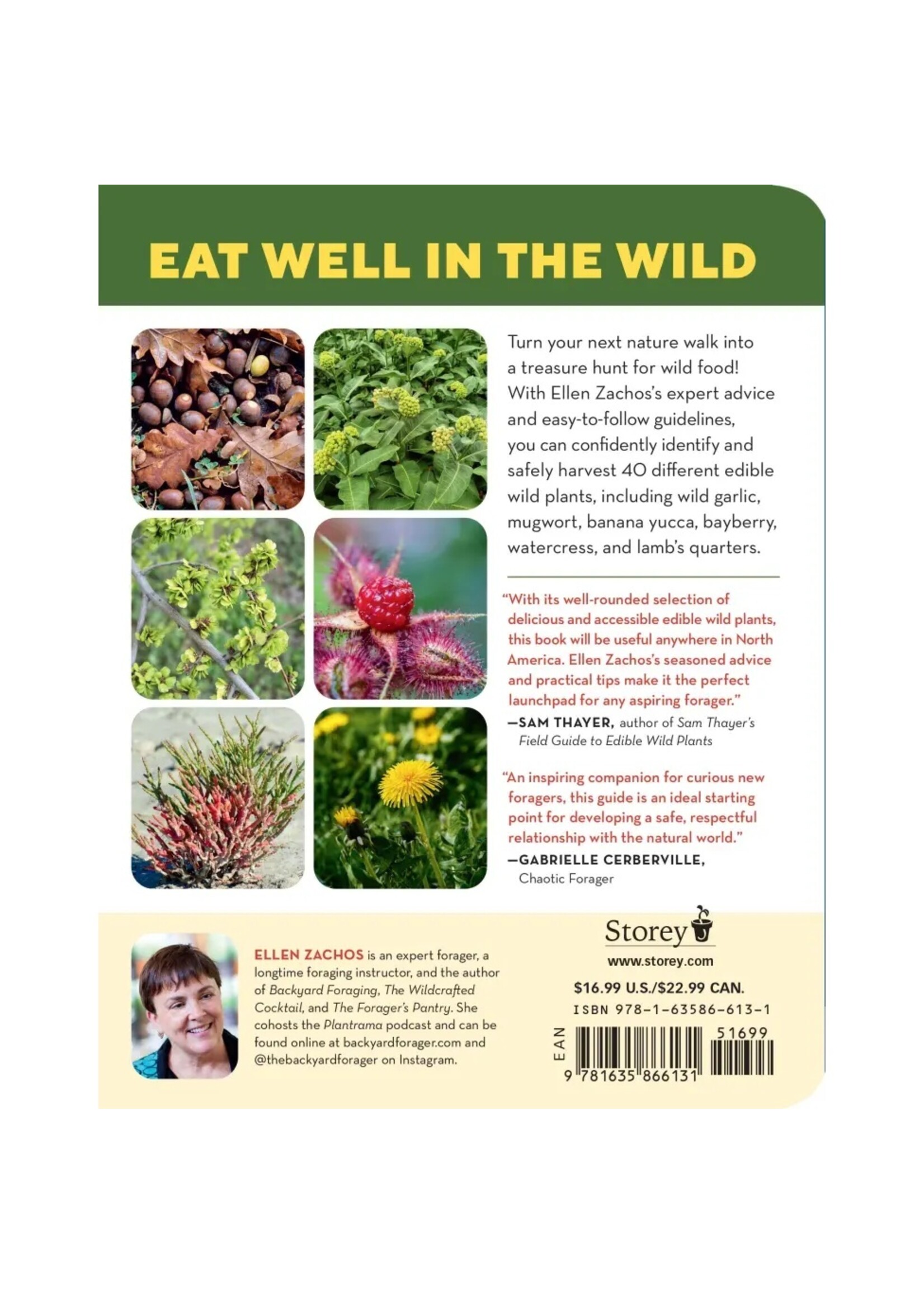 HOW TO FORAGE FOR WILD FOODS WITHOUT DYING - ELLEN ZACHOS