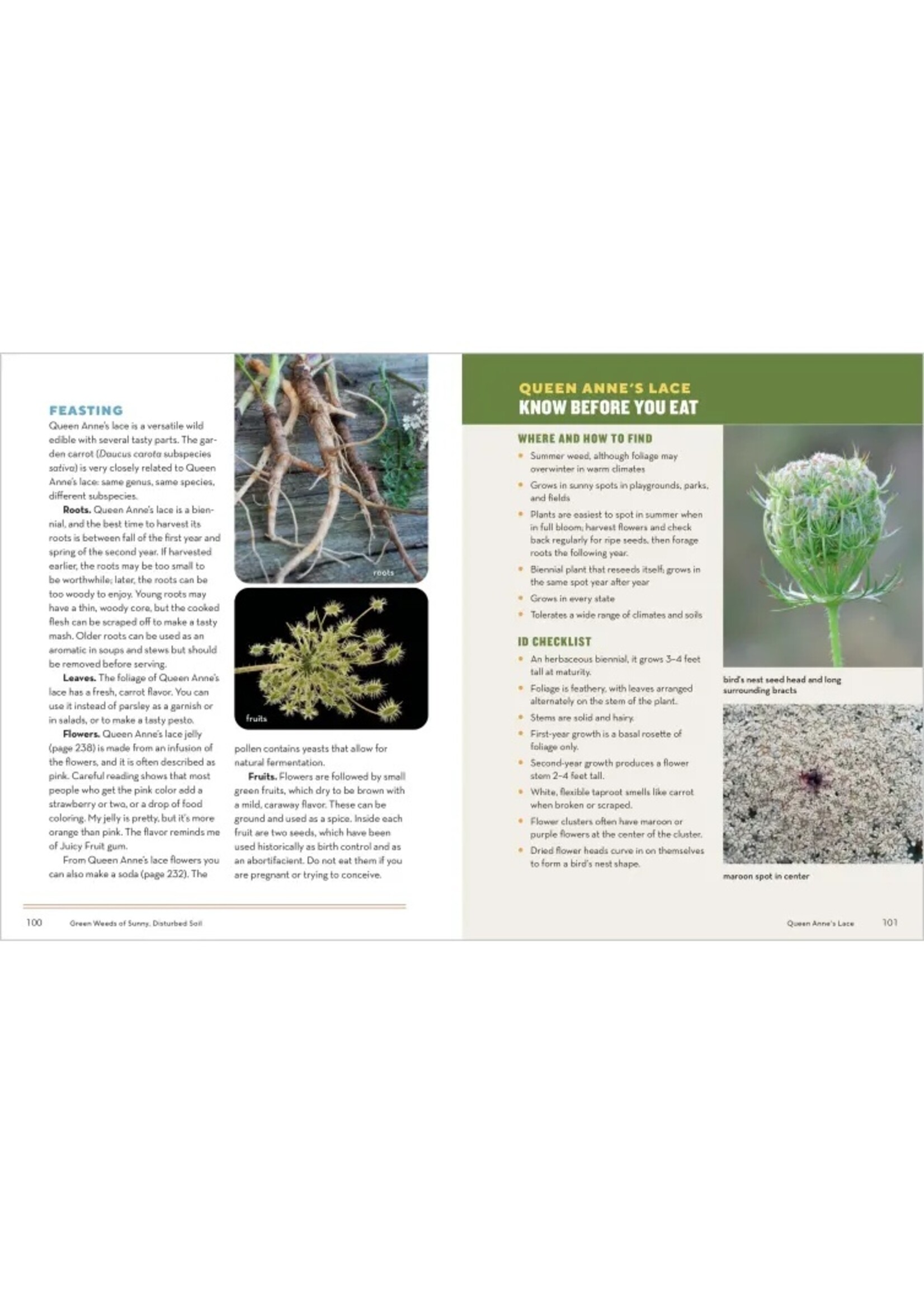 HOW TO FORAGE FOR WILD FOODS WITHOUT DYING - ELLEN ZACHOS