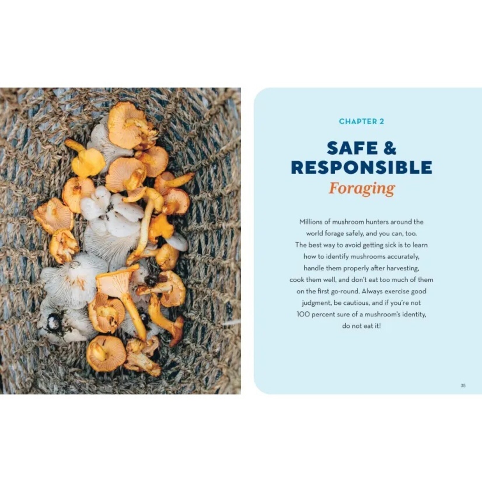 How to Forage for Mushrooms Without Dying