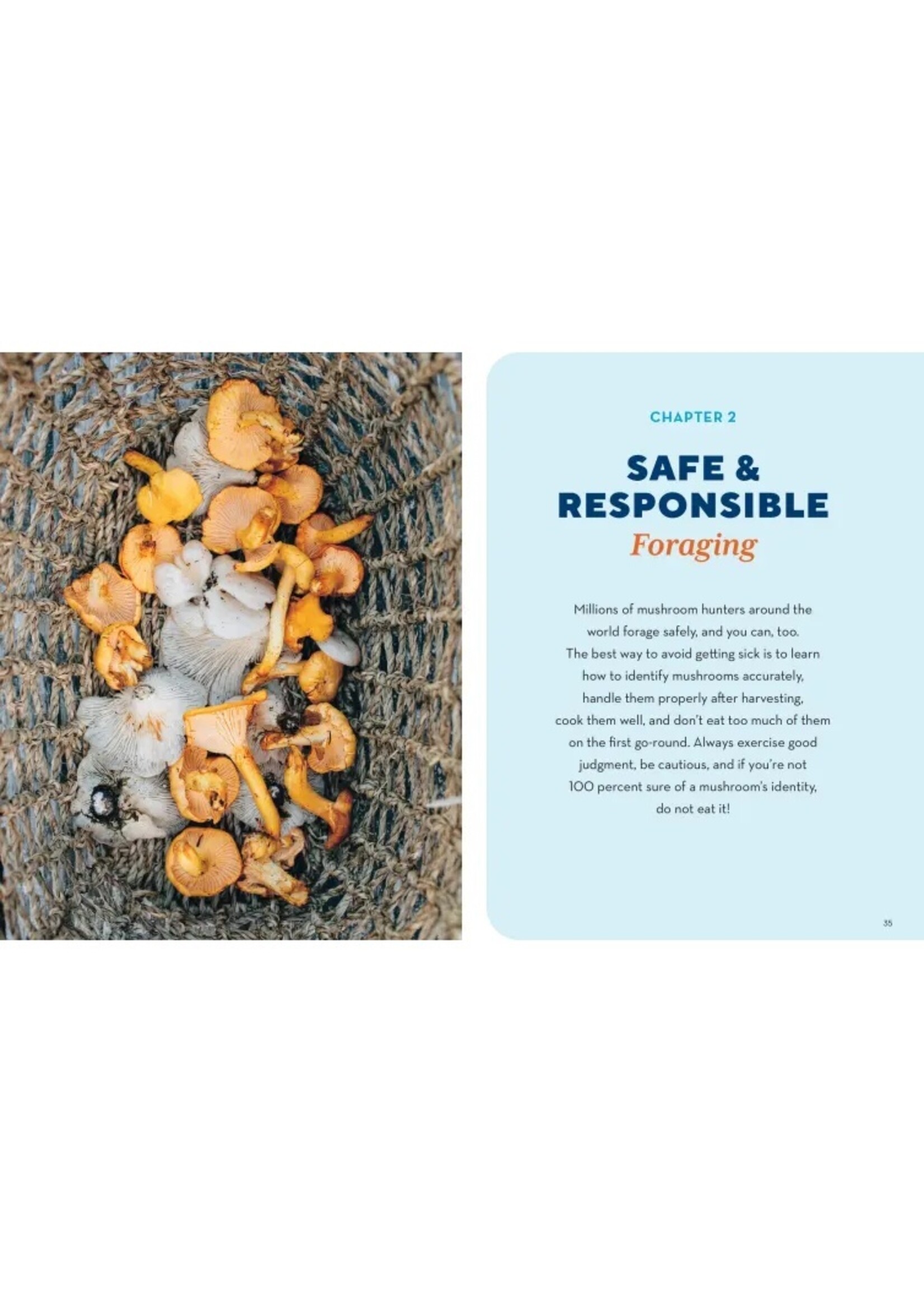 HOW TO FORAGE MUSHROOMS WITHOUT DYING - FRANK HYMAN