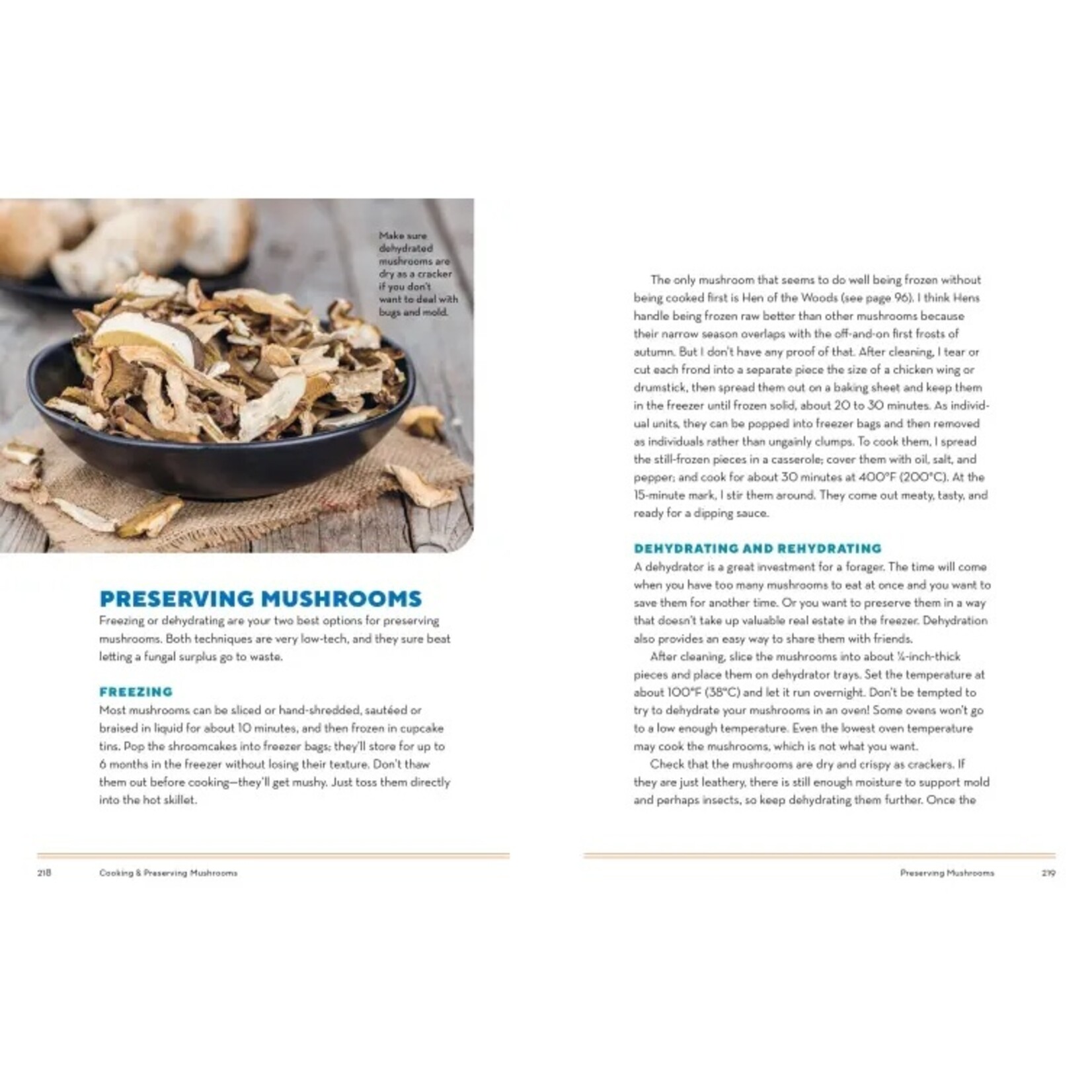 How to Forage for Mushrooms Without Dying