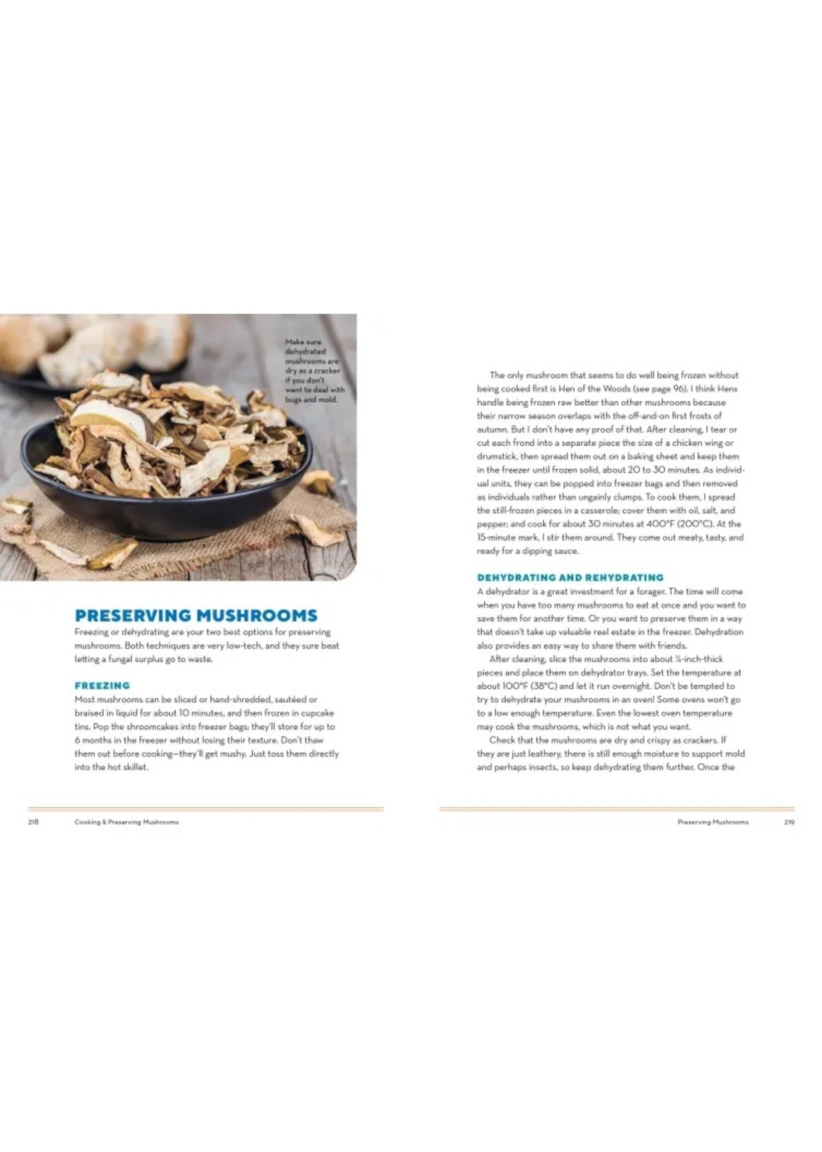 HOW TO FORAGE MUSHROOMS WITHOUT DYING - FRANK HYMAN