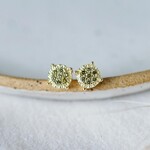 Glee Bedazzle Stud Earrings