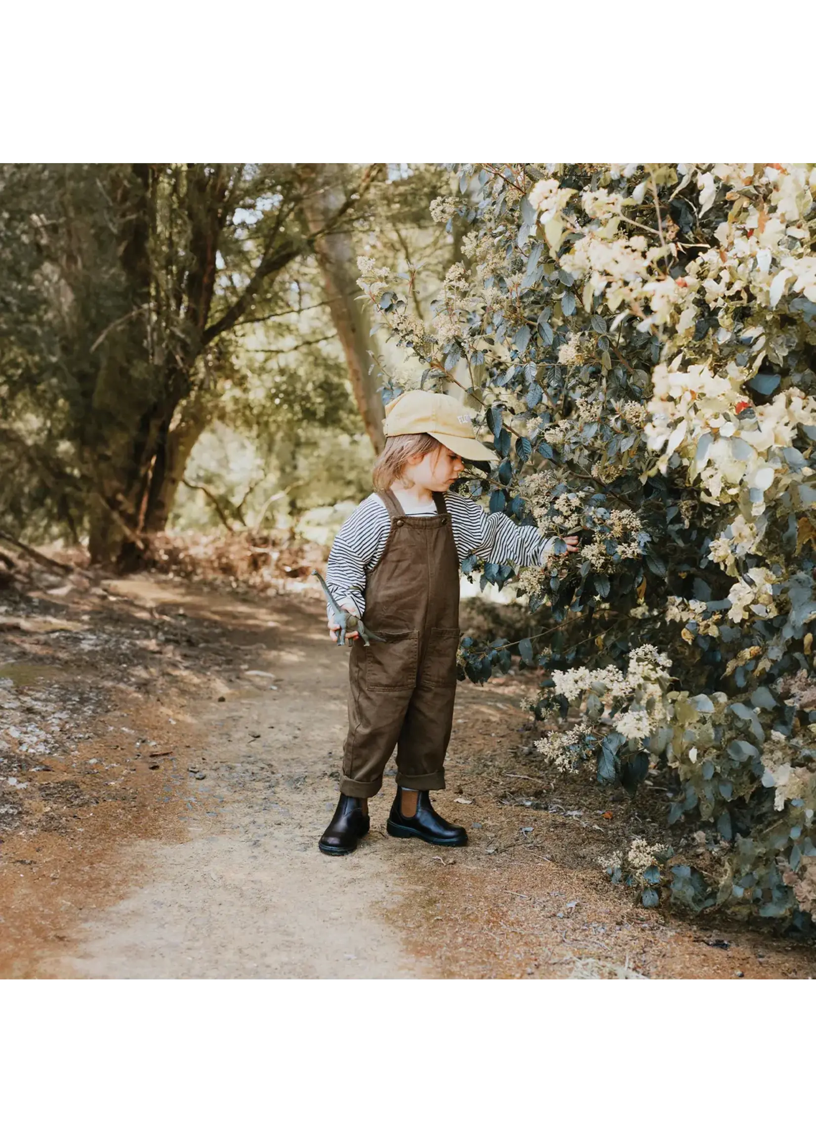 Blundstone 2591 - Kids Blundstone Leather Boot - Brown/Toffee