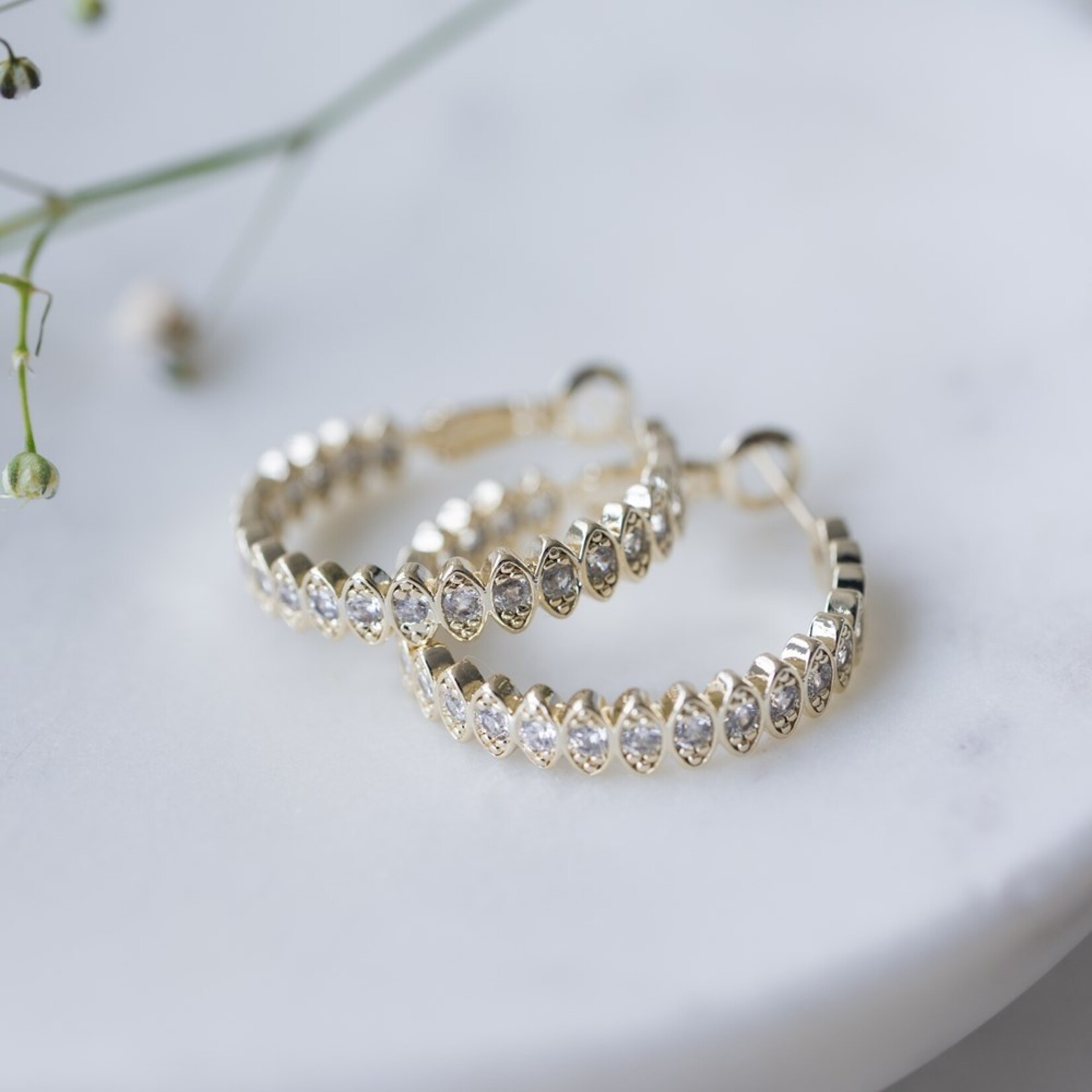 Glee Front & Centre Hoop Earrings