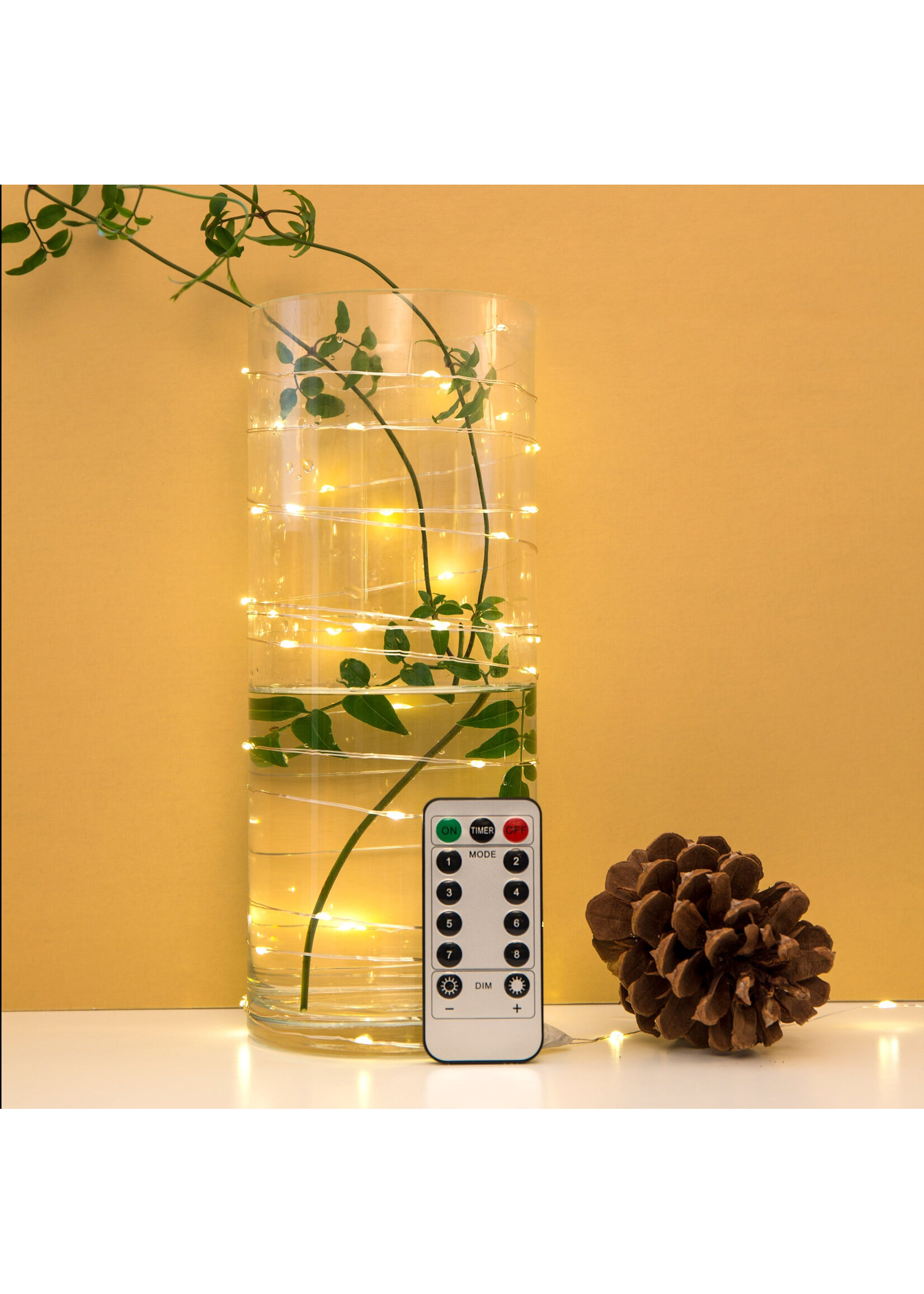 Kikkerland EXTRA LONG SILVER STRING LIGHT with REMOTE