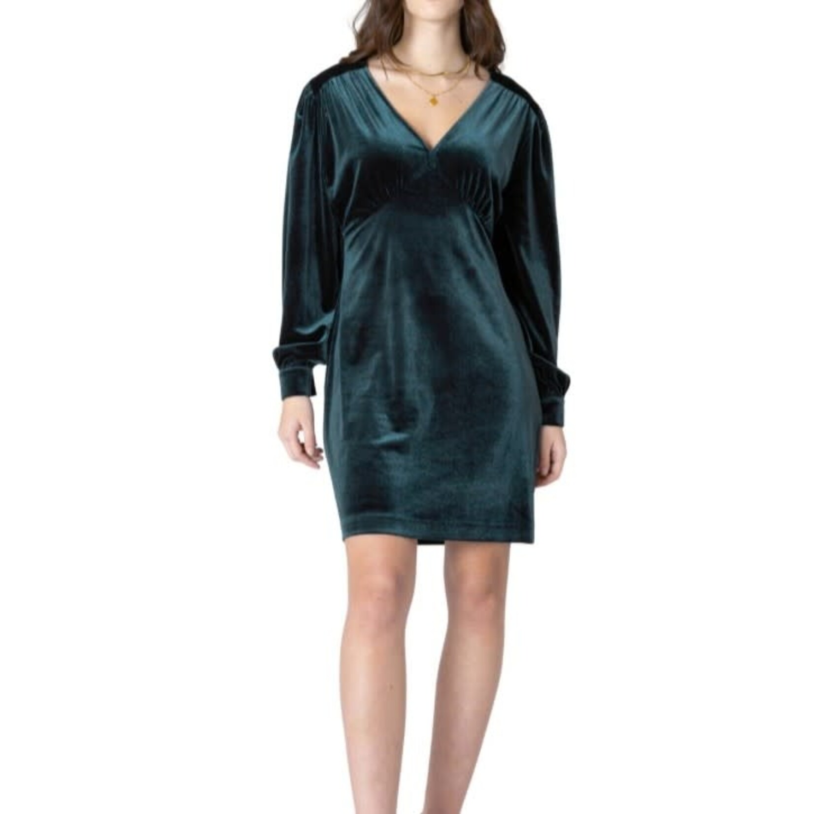 Dex Clothing 2622015 D - Noelle Deep V-Neck Velvet Mini Dress