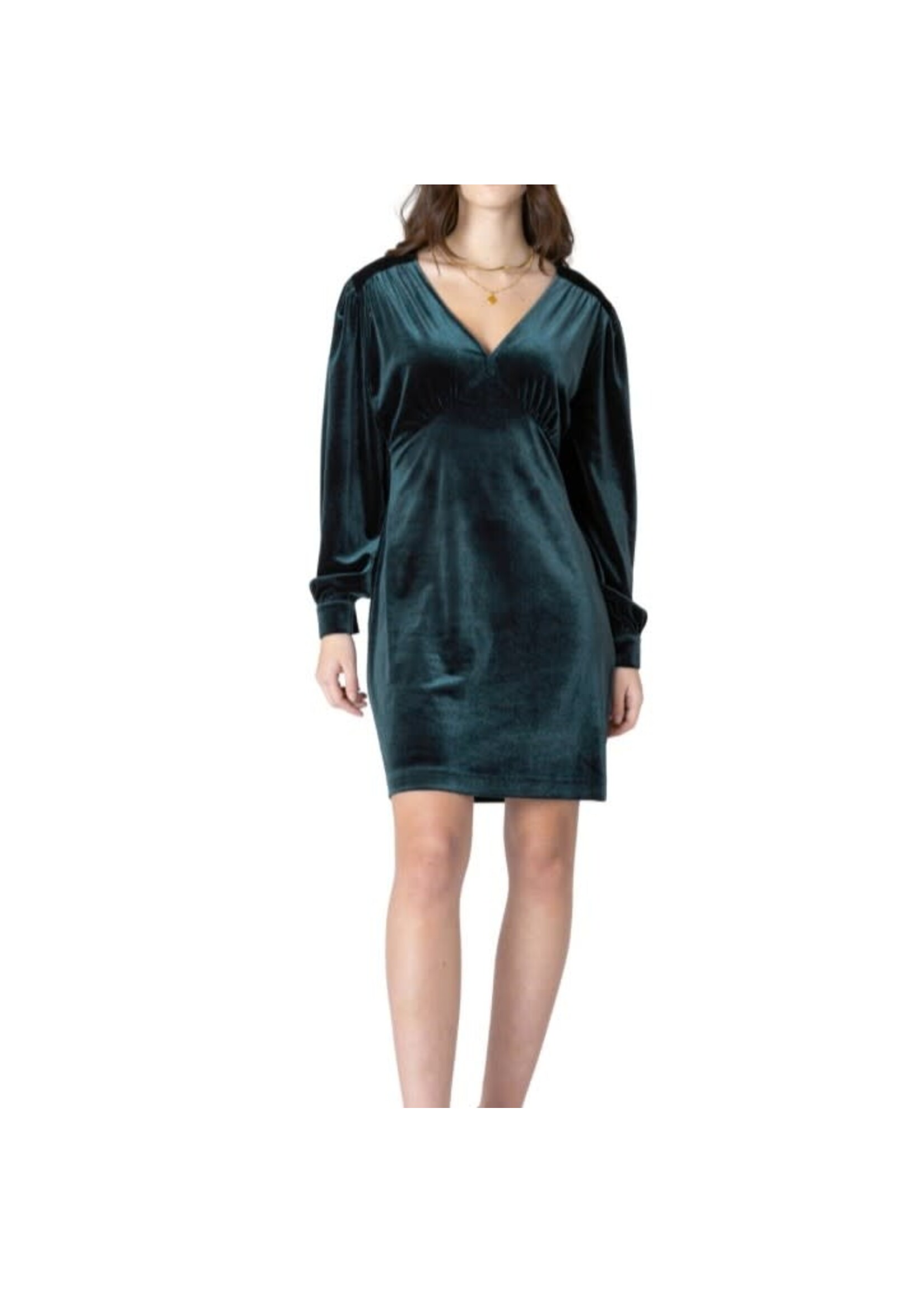 Dex Clothing 2622015 D - Noelle Deep V-Neck Velvet Mini Dress