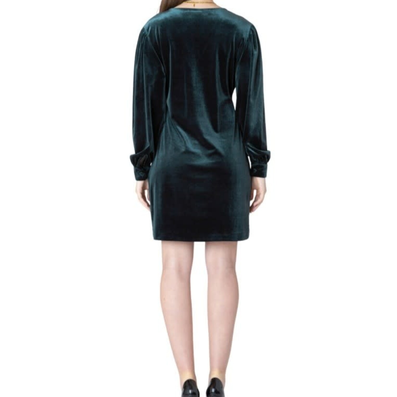 Dex Clothing 2622015 D - Noelle Deep V-Neck Velvet Mini Dress