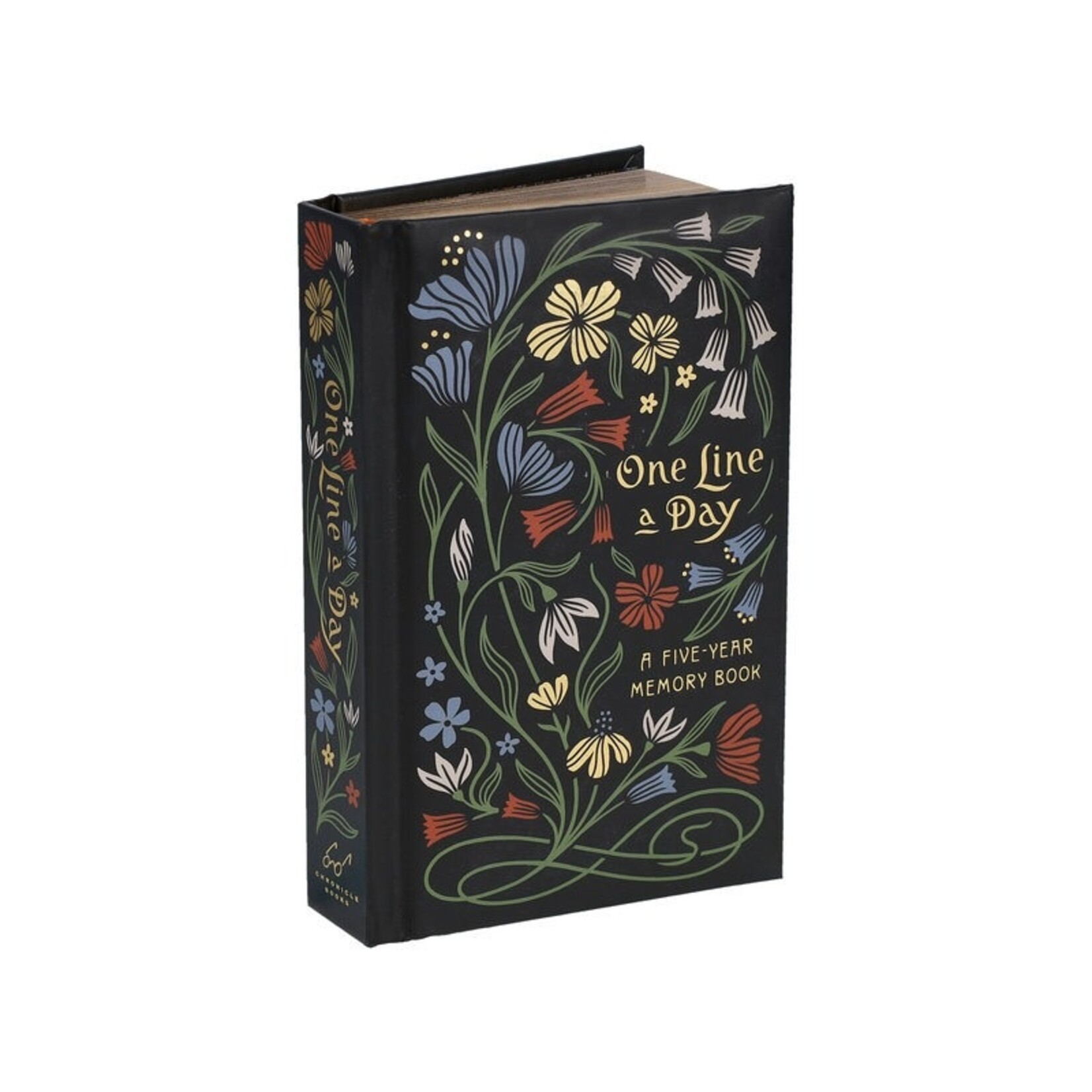 Raincoast Books Nouveau One Line a Day 5-Year Memory Book