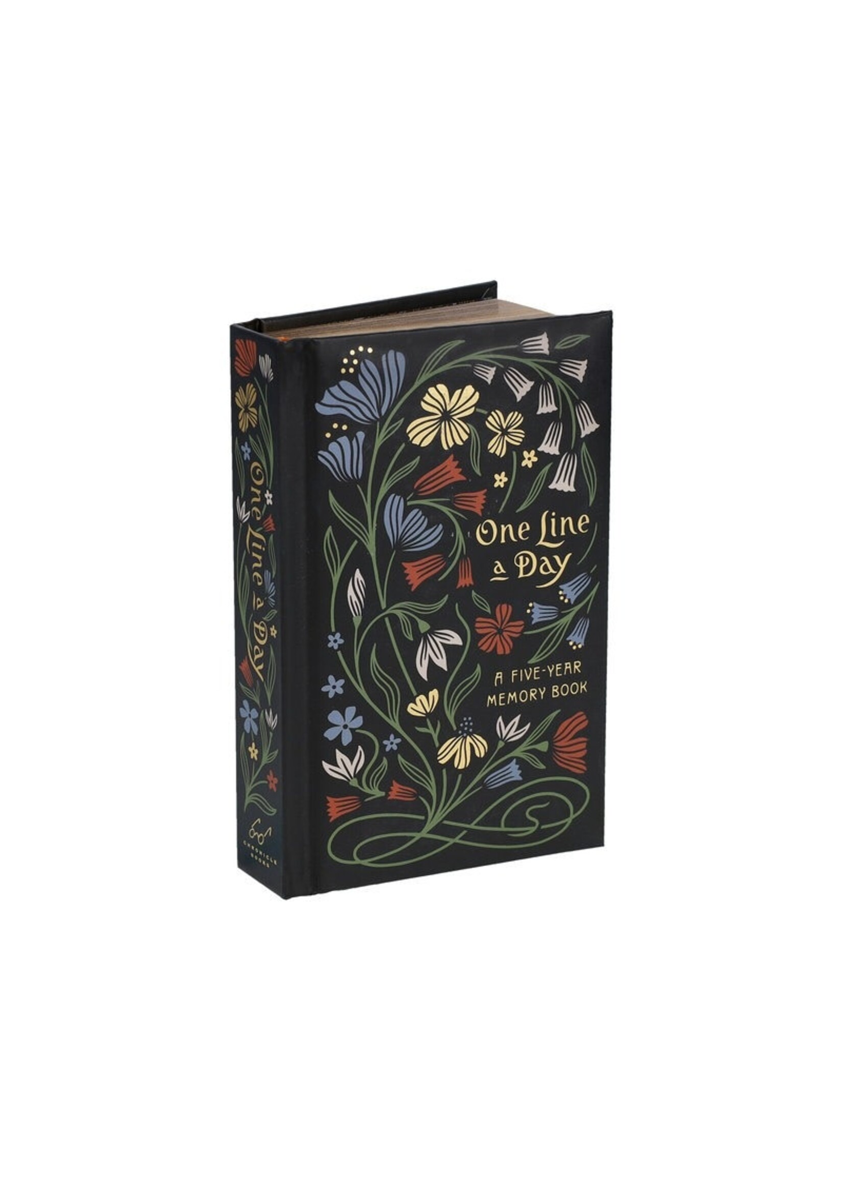 Raincoast Books Nouveau One Line a Day 5-Year Memory Book