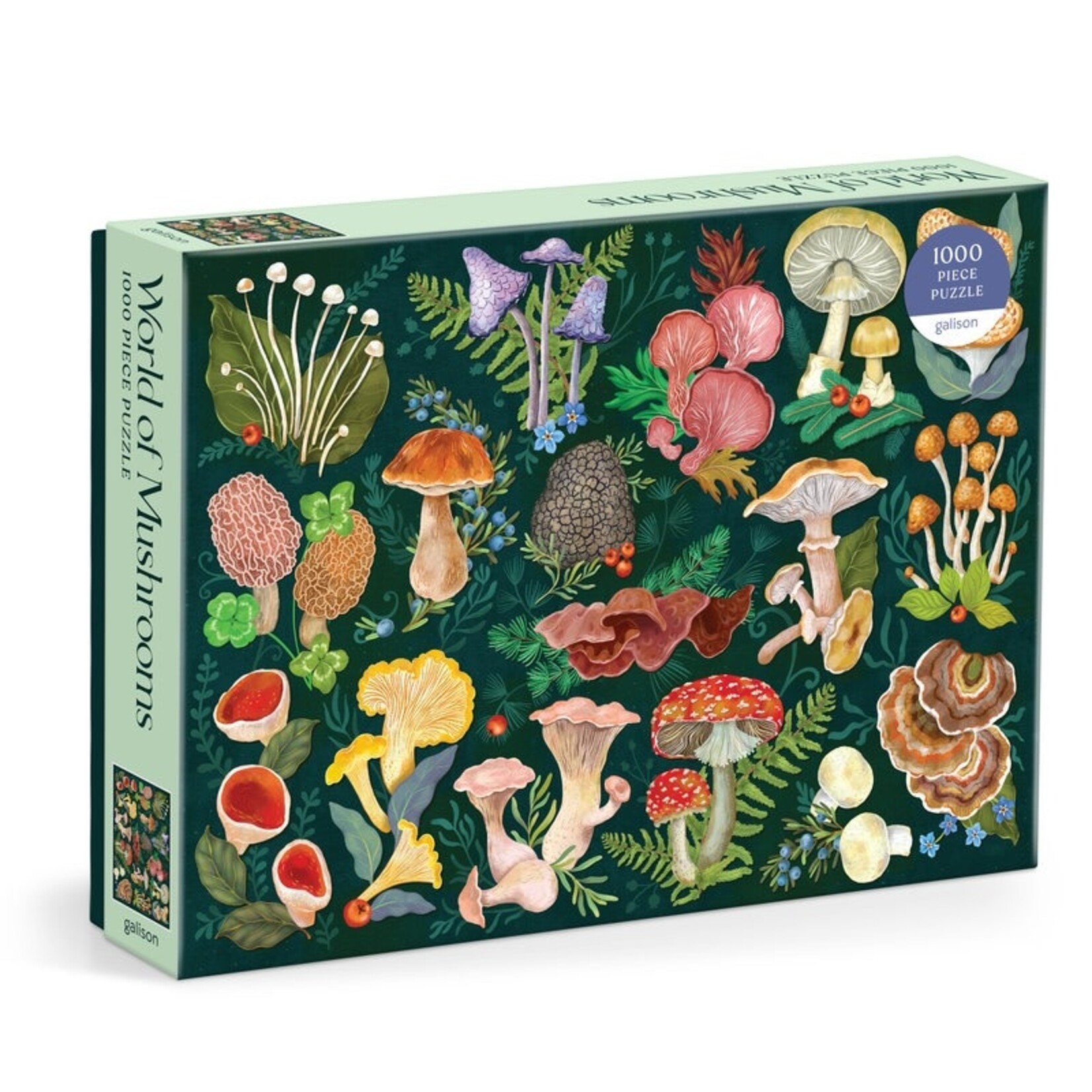 Raincoast Books World of Mushrooms Puzzle 1000 Piece