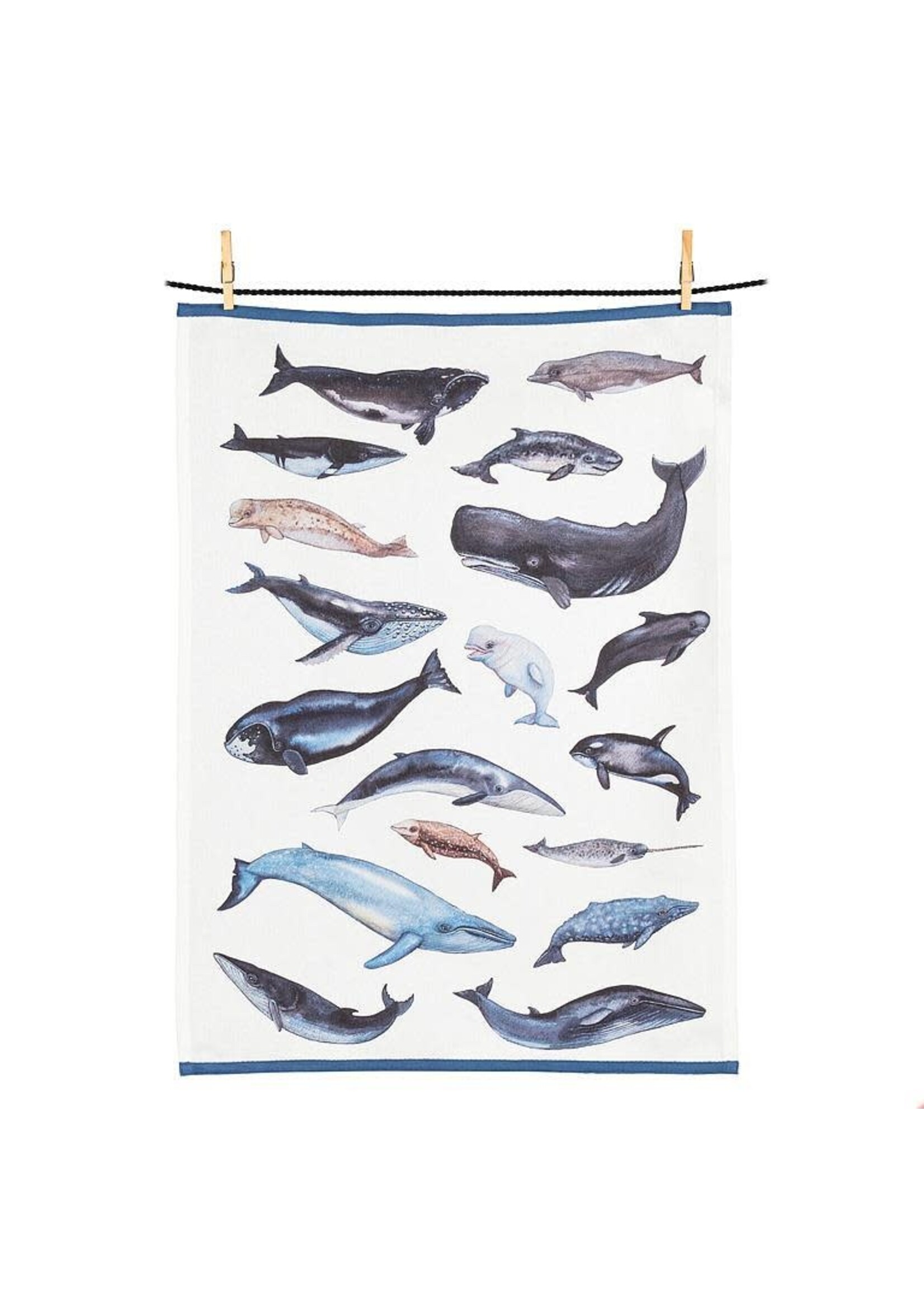 Whales Kitchen Towel - 20X28"