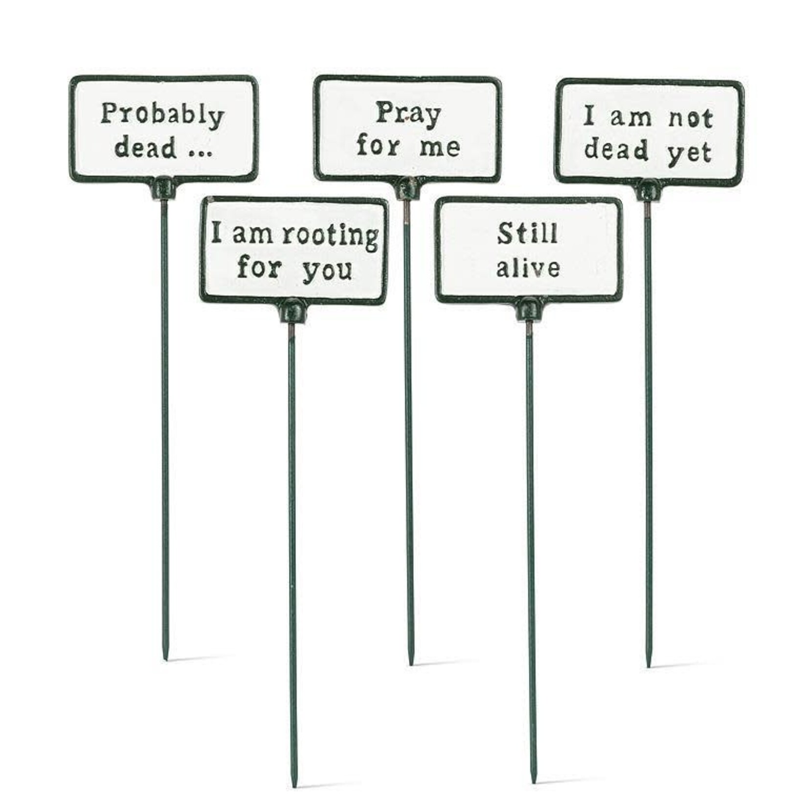 Plant Signs (Assorted)